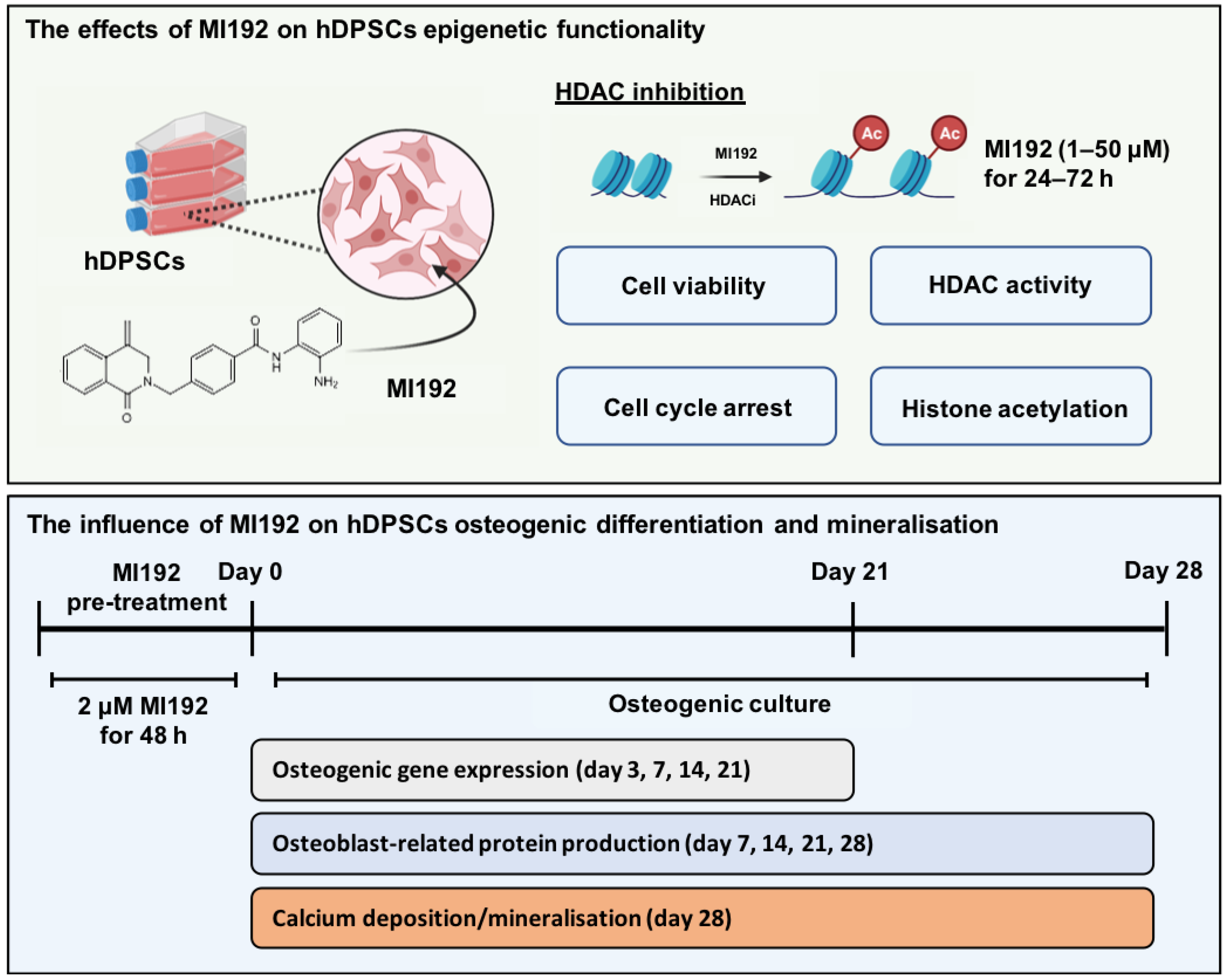 Ijms 22 05224 g001 Ijms 22 05224 g001