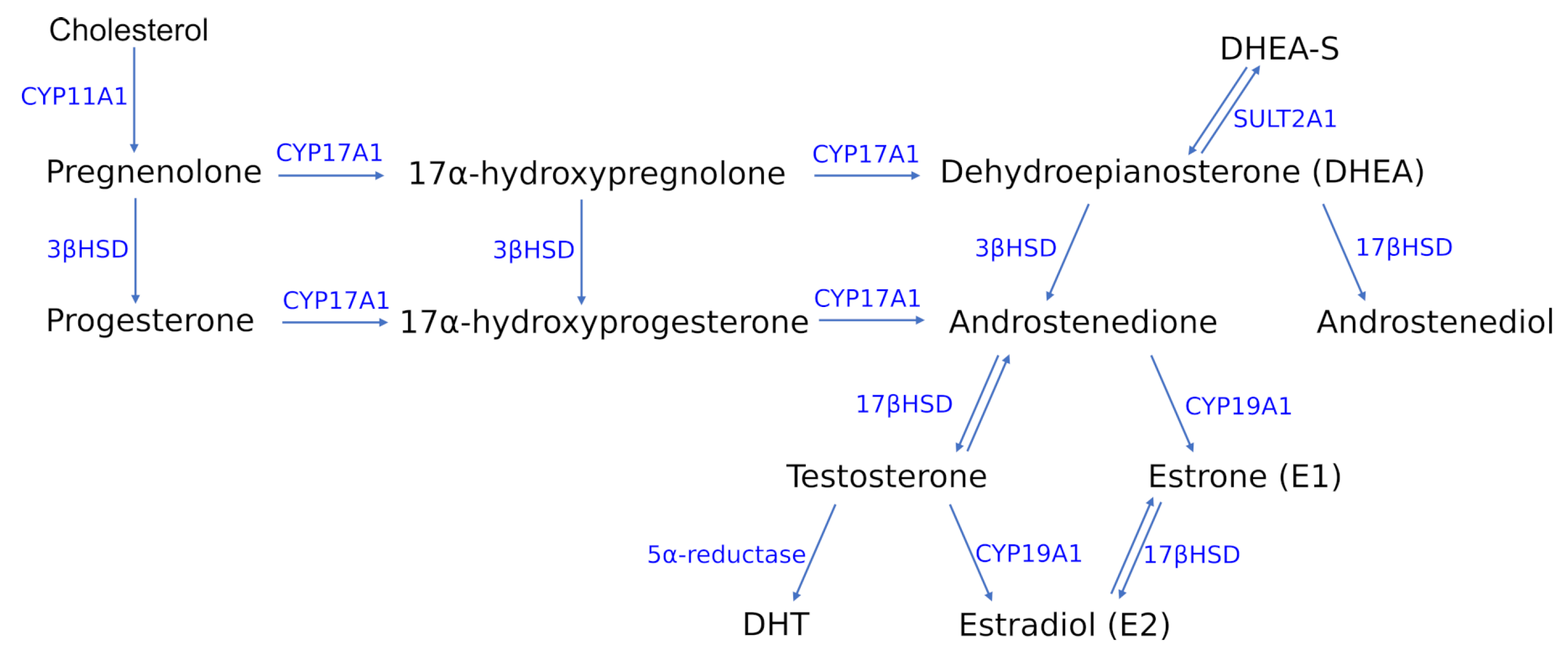 Ijms 22 05226 g002 Ijms 22 05226 g002