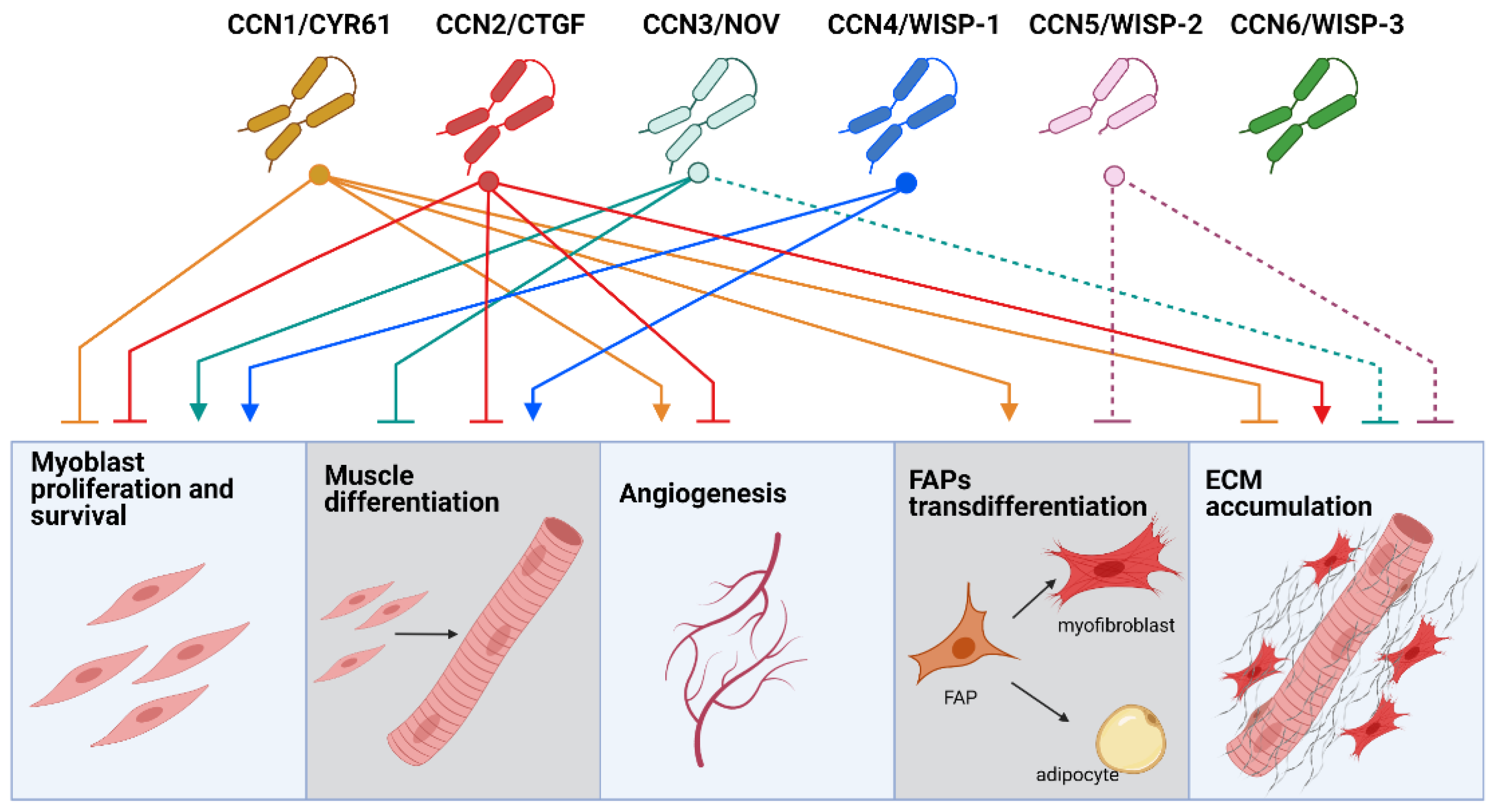 Ijms 22 05234 g002 Ijms 22 05234 g002