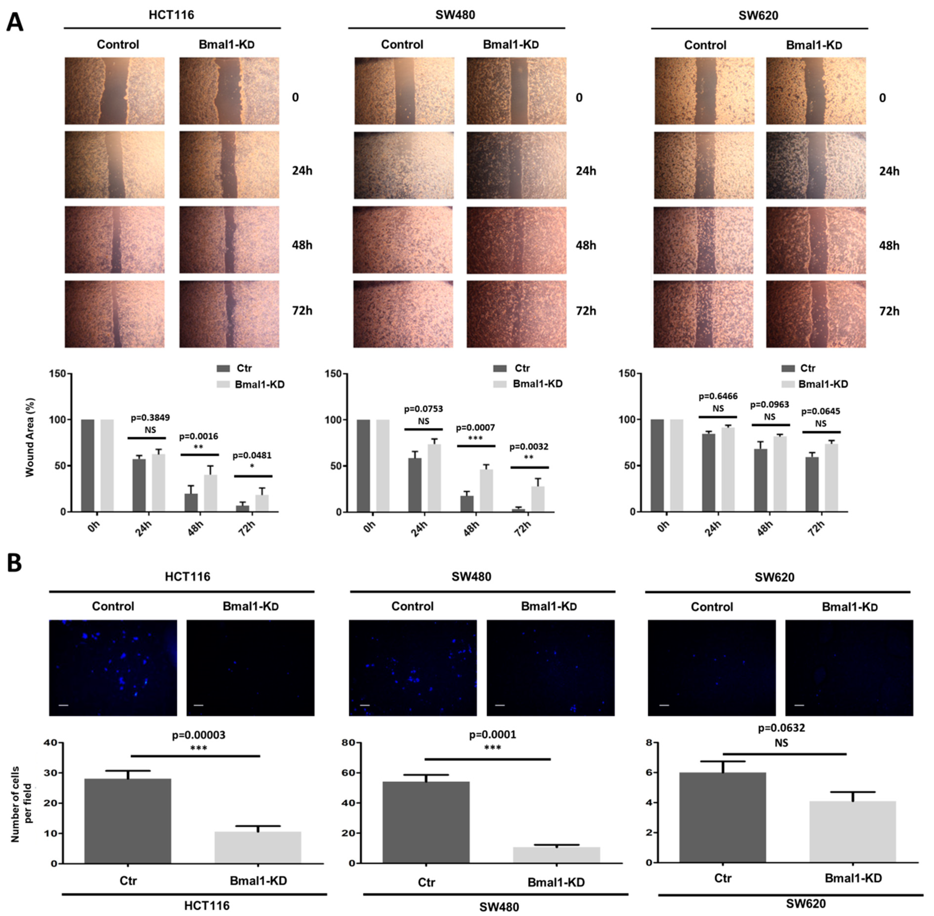 Ijms 22 05247 g005 Ijms 22 05247 g005