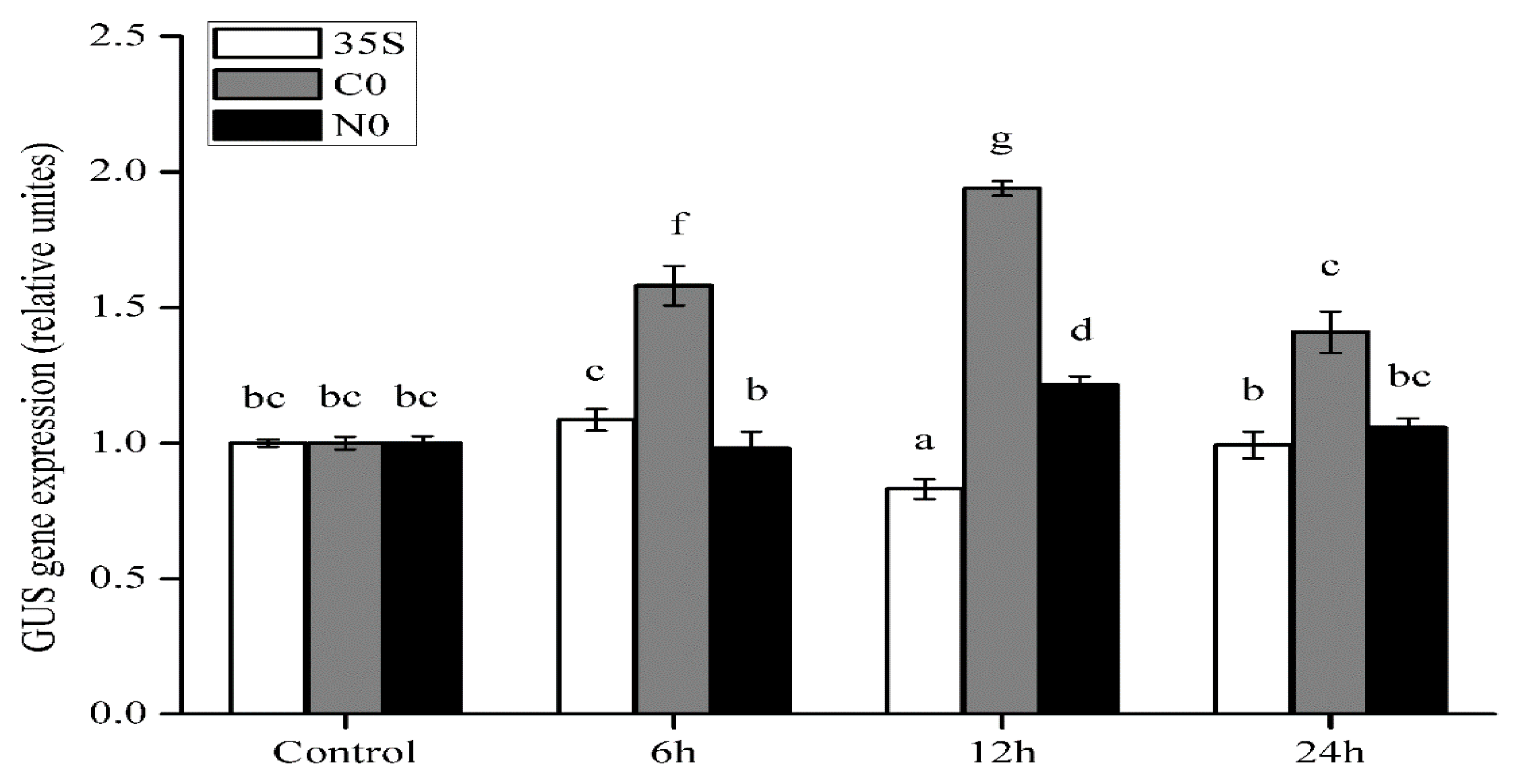 Ijms 22 05299 g005 Ijms 22 05299 g005