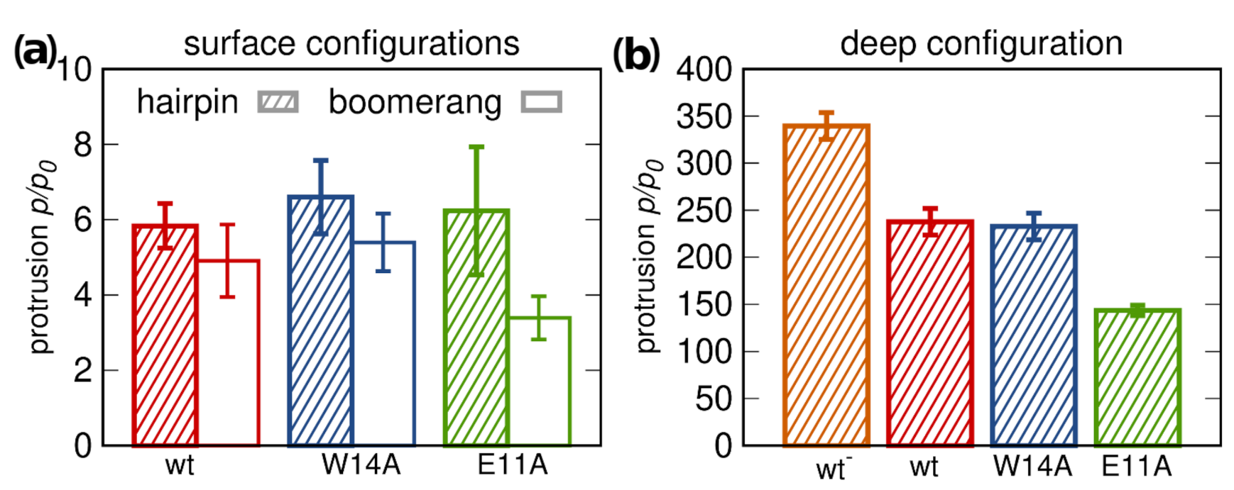 Ijms 22 05301 g006 Ijms 22 05301 g006