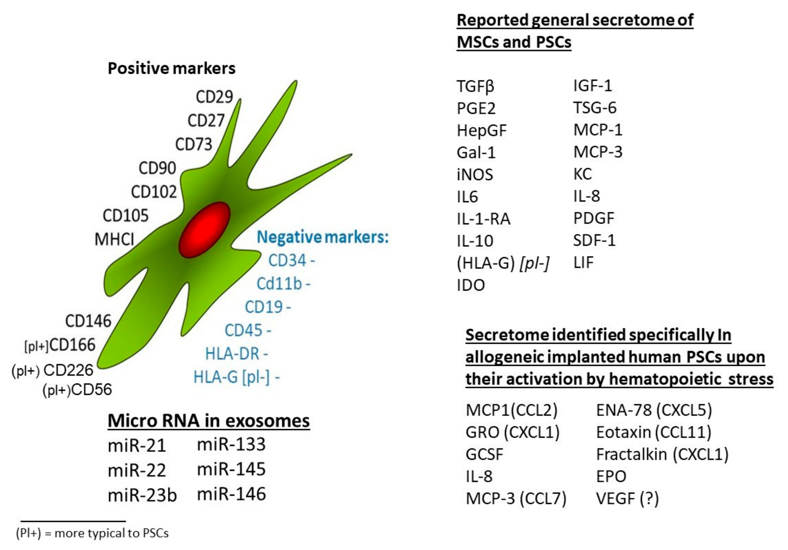 Ijms Free Full Text Allogenic Use Of Human Placenta Derived Stromal Cells As A Highly Active Subtype Of Mesenchymal Stromal Cells For Cell Based Therapies Html