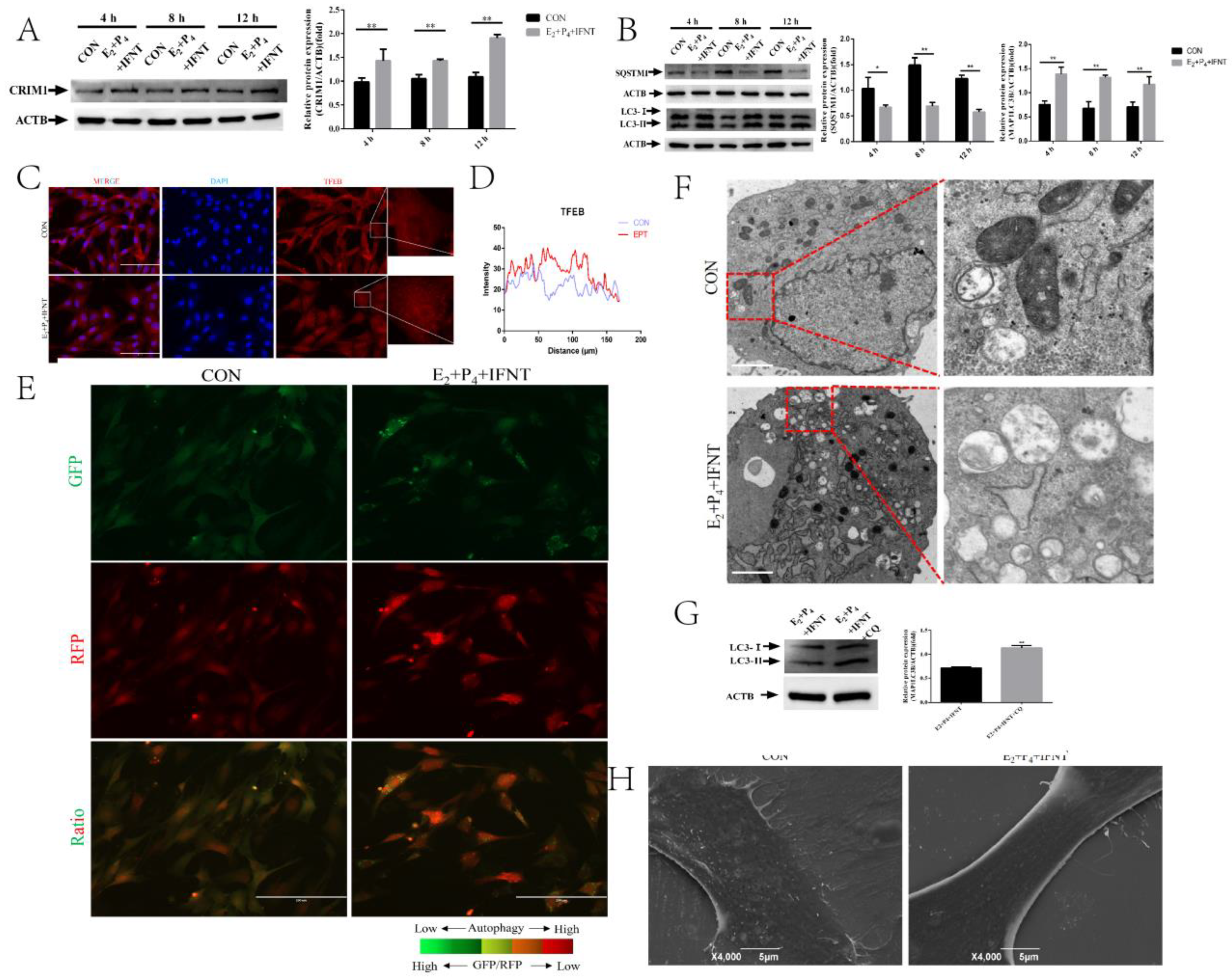 Ijms 22 05323 g001 Ijms 22 05323 g001
