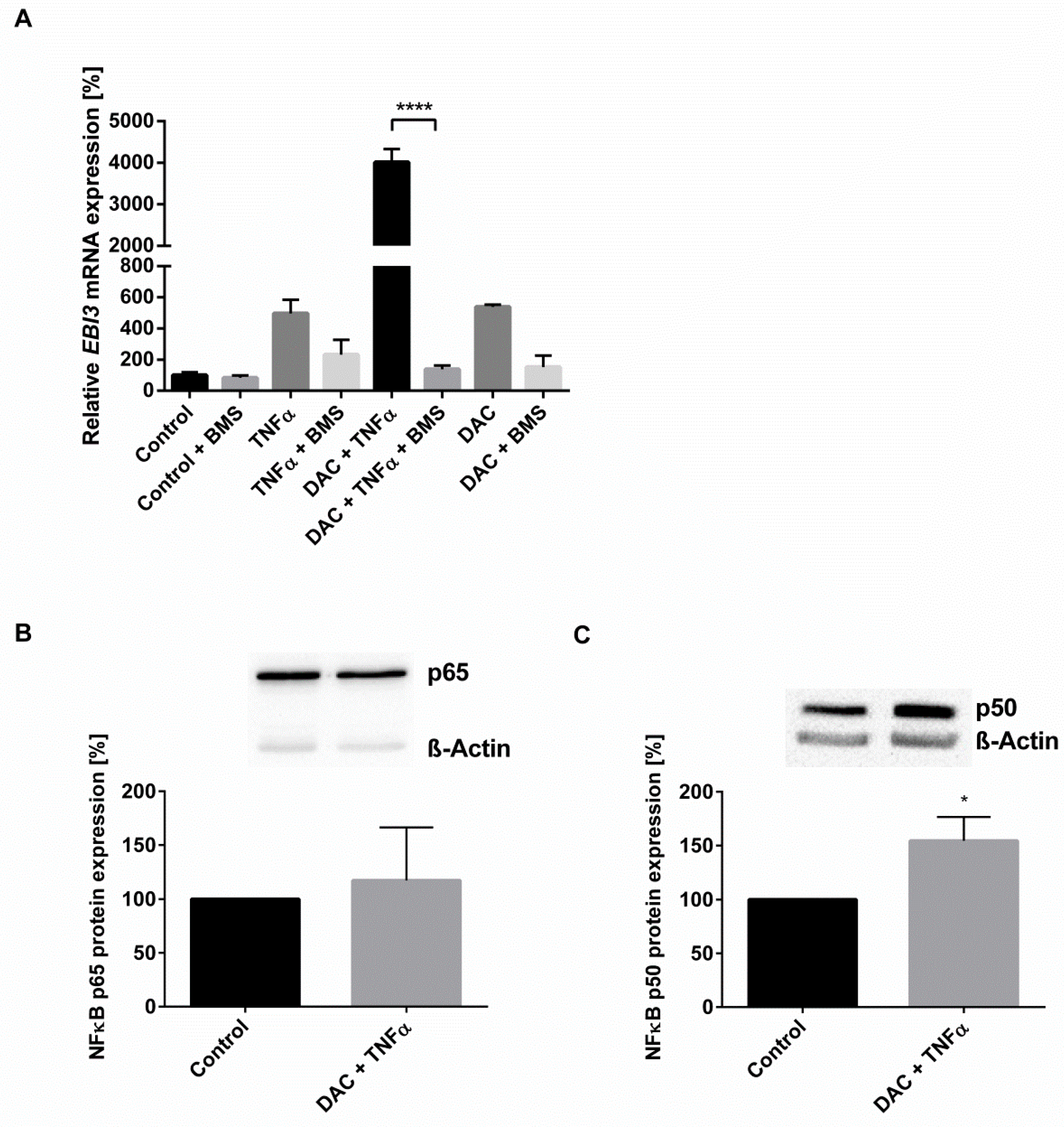 Ijms 22 05329 g003 Ijms 22 05329 g003