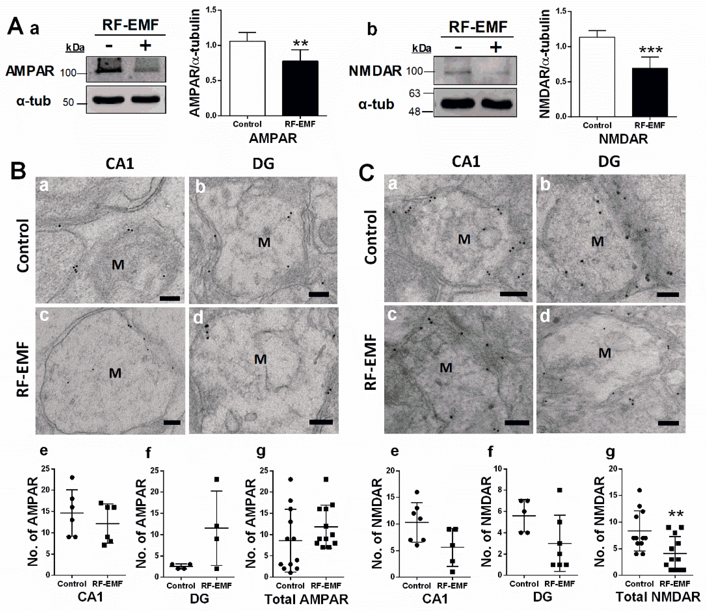 Ijms 22 05340 g002 Ijms 22 05340 g002