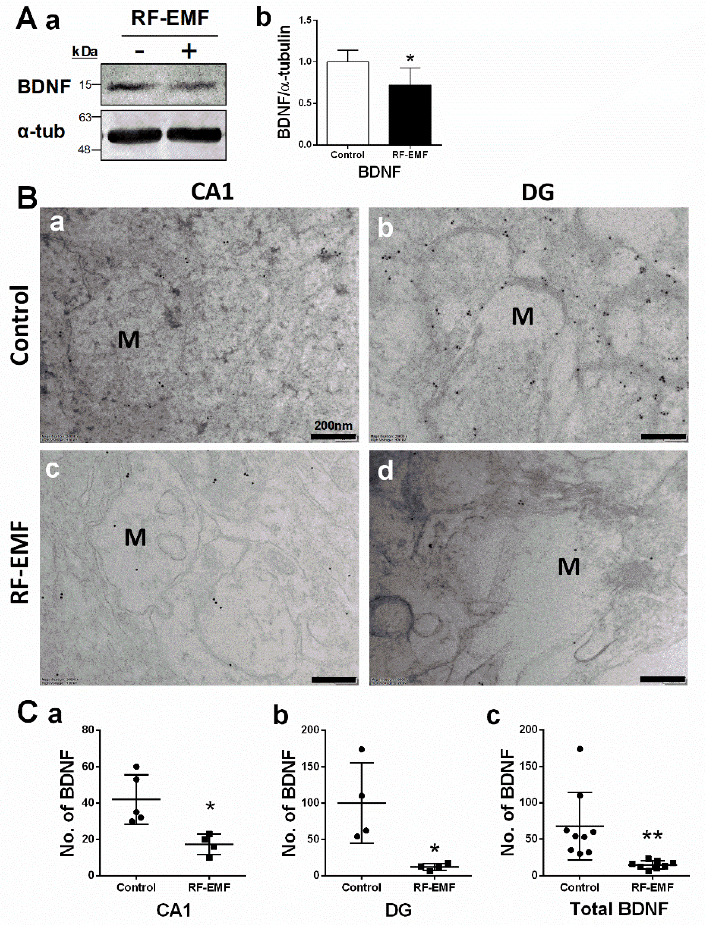Ijms 22 05340 g003 Ijms 22 05340 g003