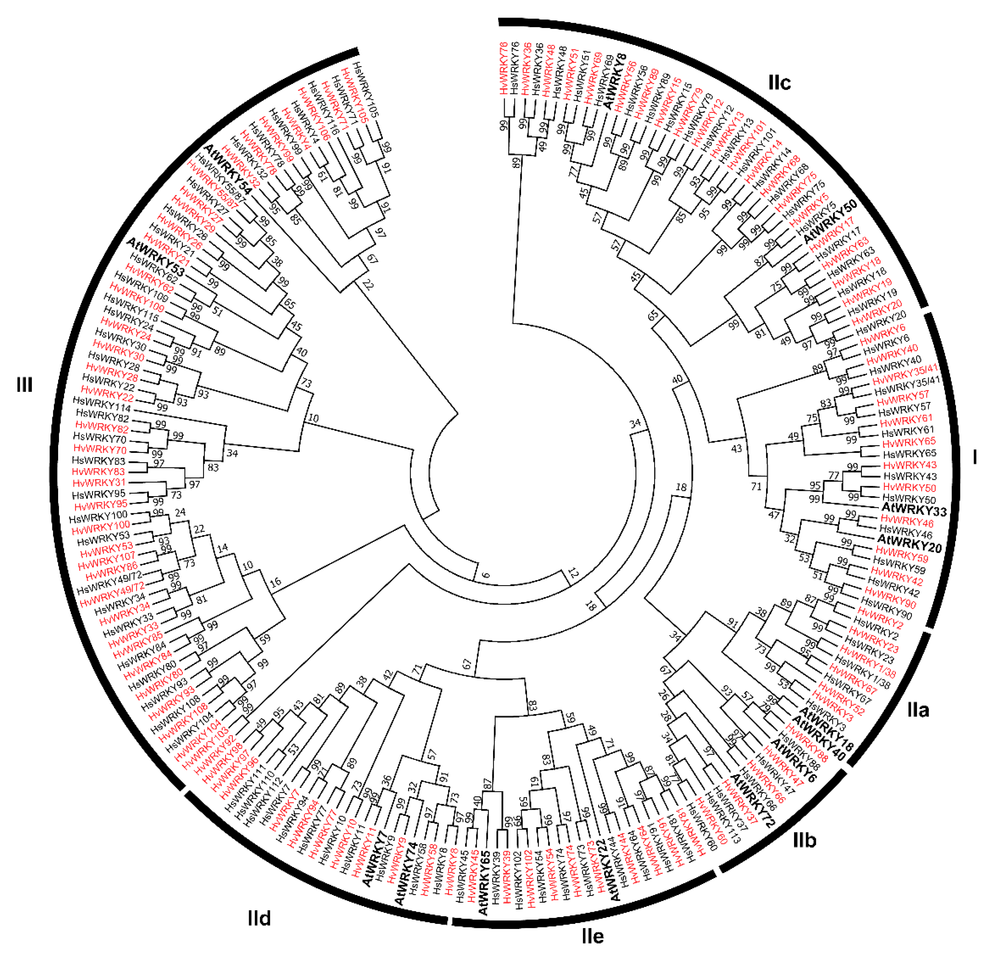 IJMS | Free Full-Text | Genome-Wide Characterization of WRKY 