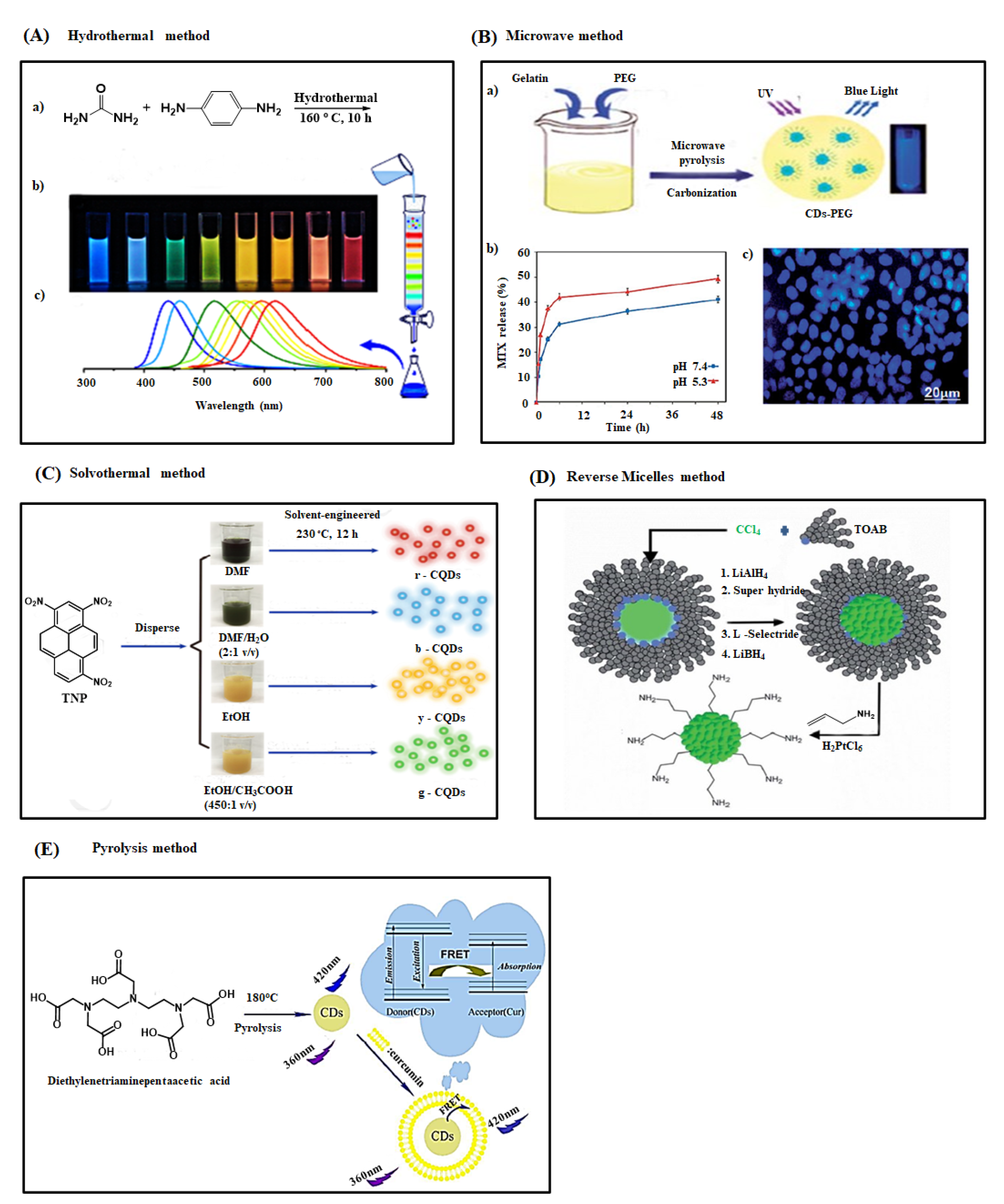 Ijms 22 05378 g003 Ijms 22 05378 g003