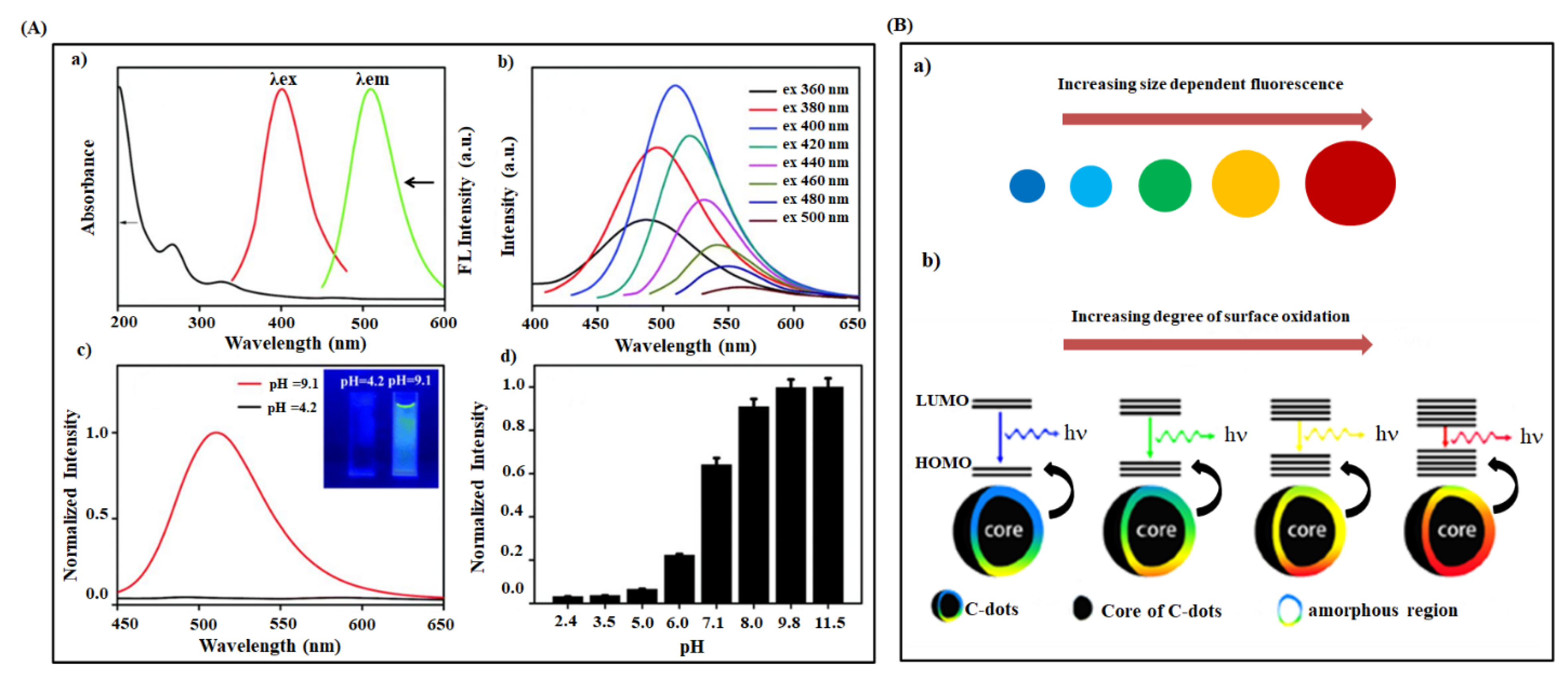 Ijms 22 05378 g004 Ijms 22 05378 g004