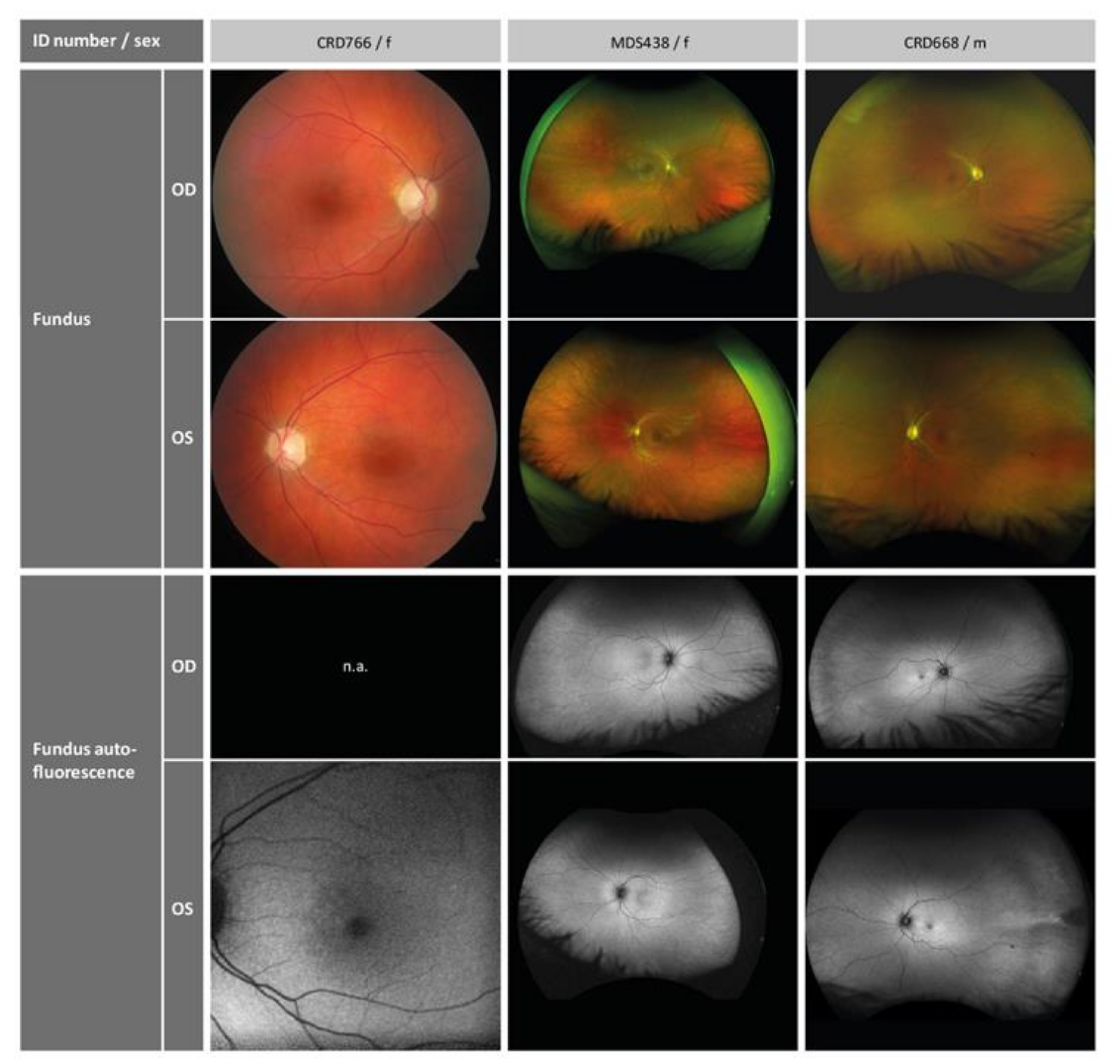 Ijms 22 05396 g002 Ijms 22 05396 g002