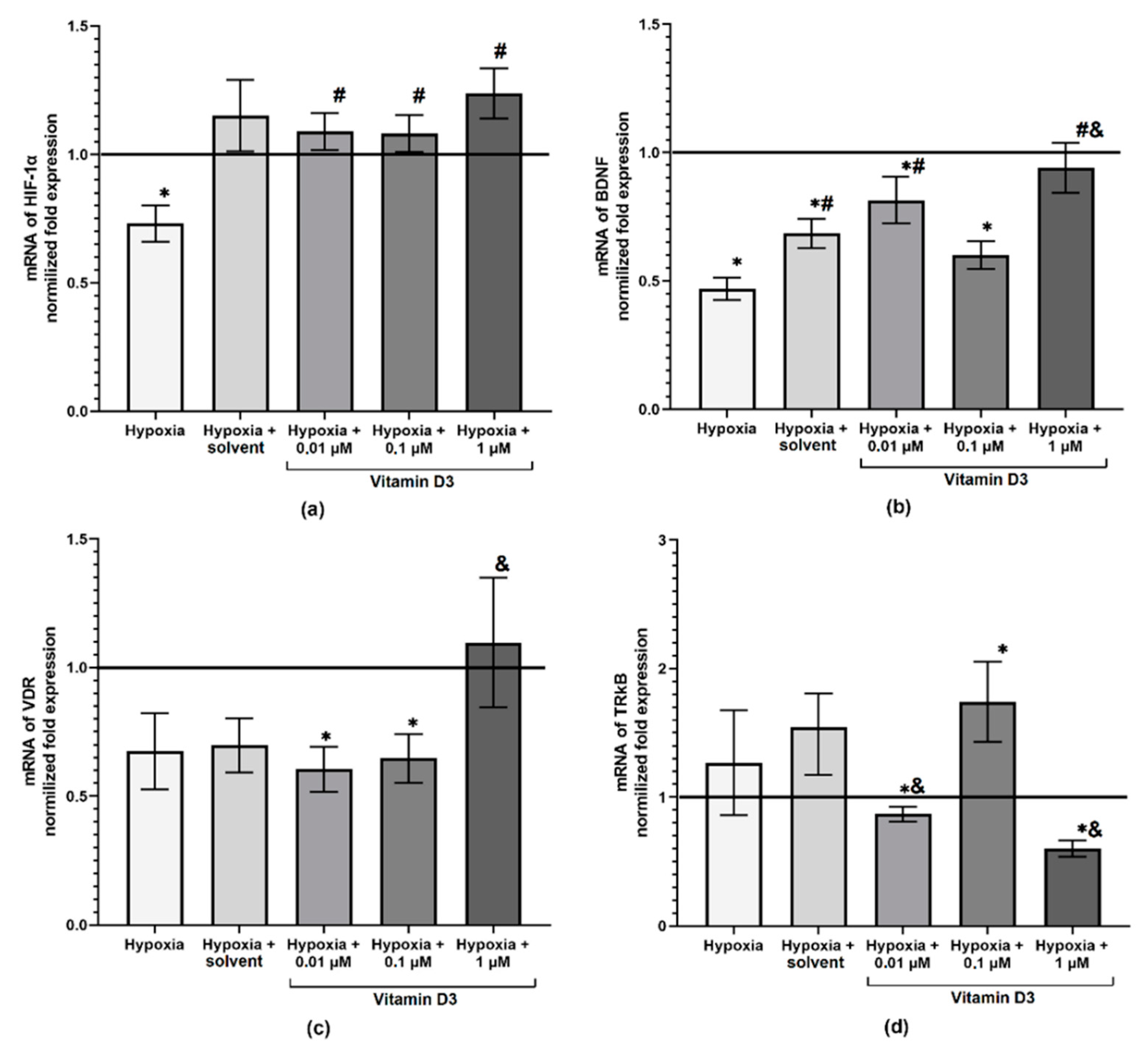 Ijms 22 05417 g005 Ijms 22 05417 g005