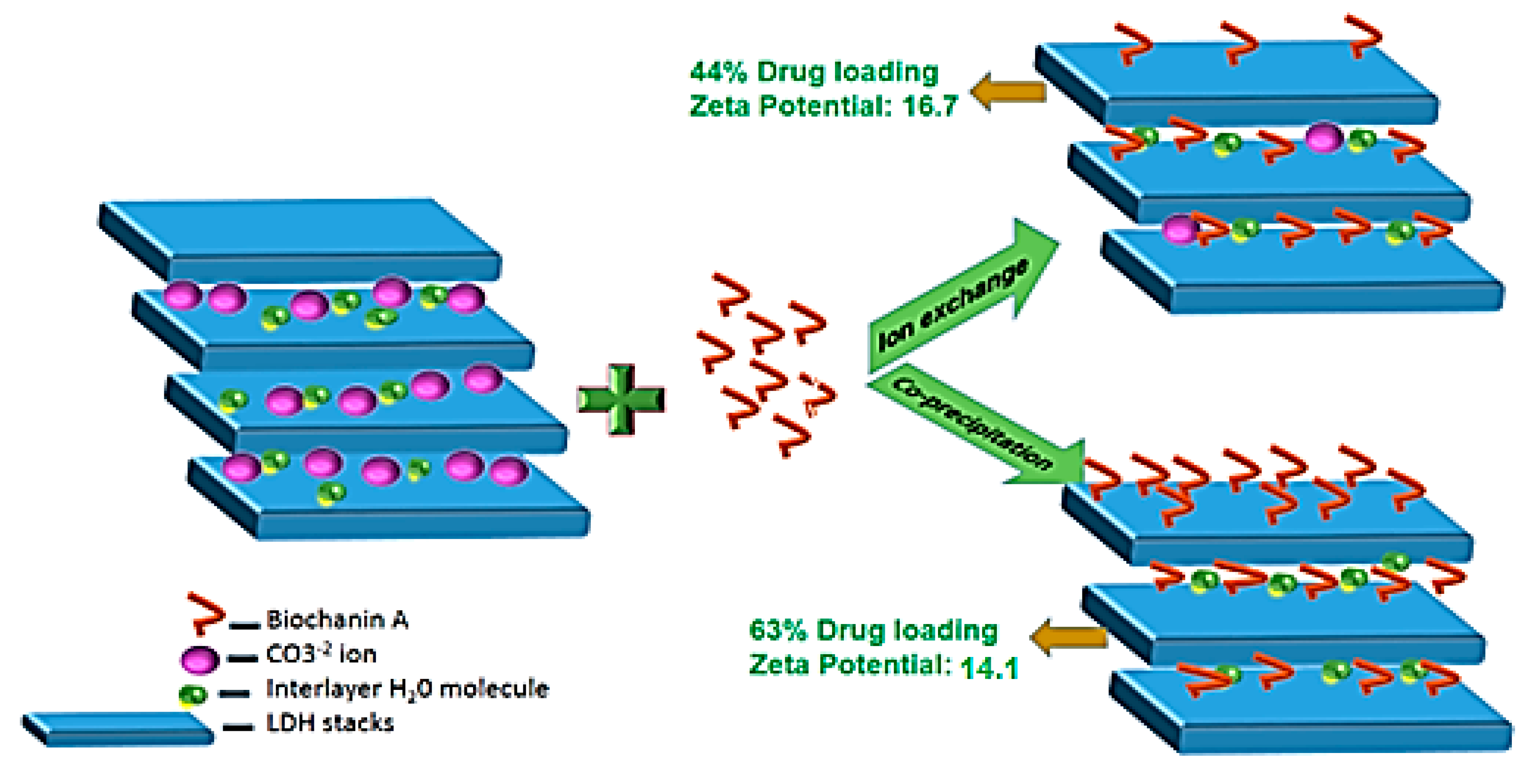 Ijms Free Full Text Heparin ged Pla Peg Copolymer Encapsulated Biochanin A Loaded Mg Al Ldh Nanoparticles Recommended For Non Thrombogenic And Anti Proliferative Stent Coating Html