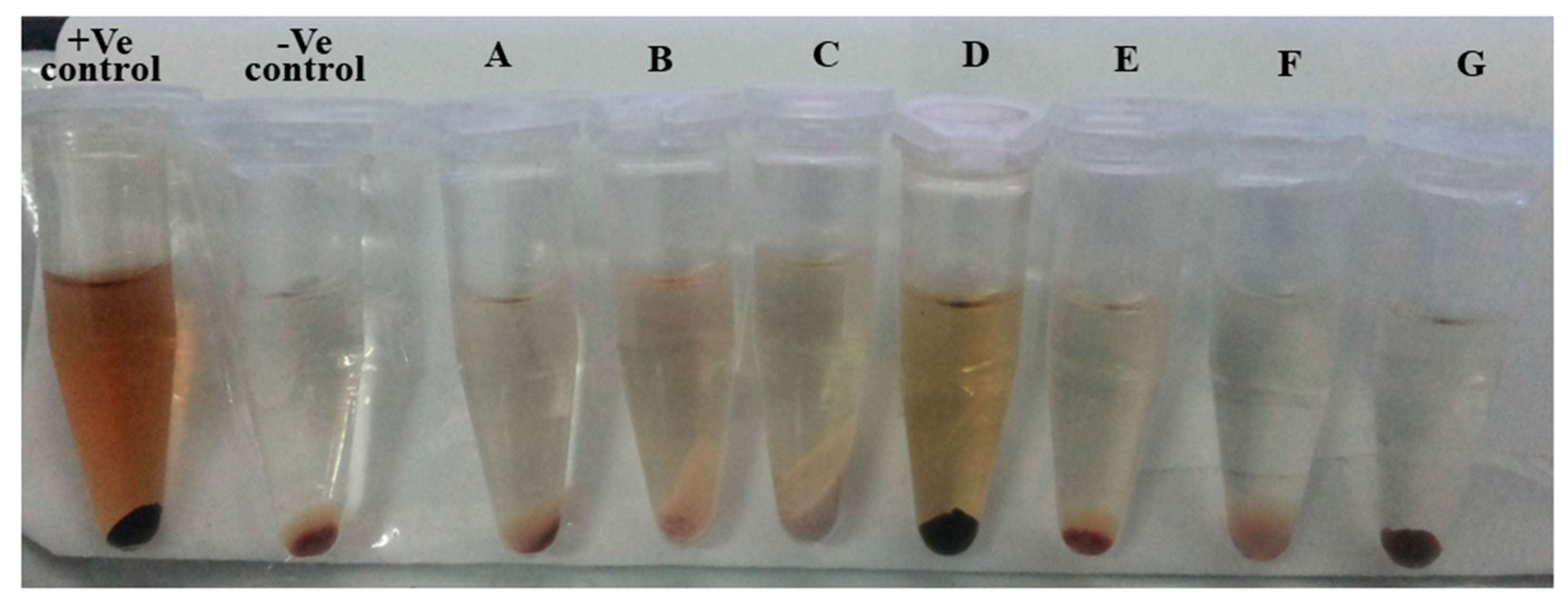 IJMS | Free Full-Text | Heparin-Tagged PLA-PEG Copolymer-Encapsulated ...