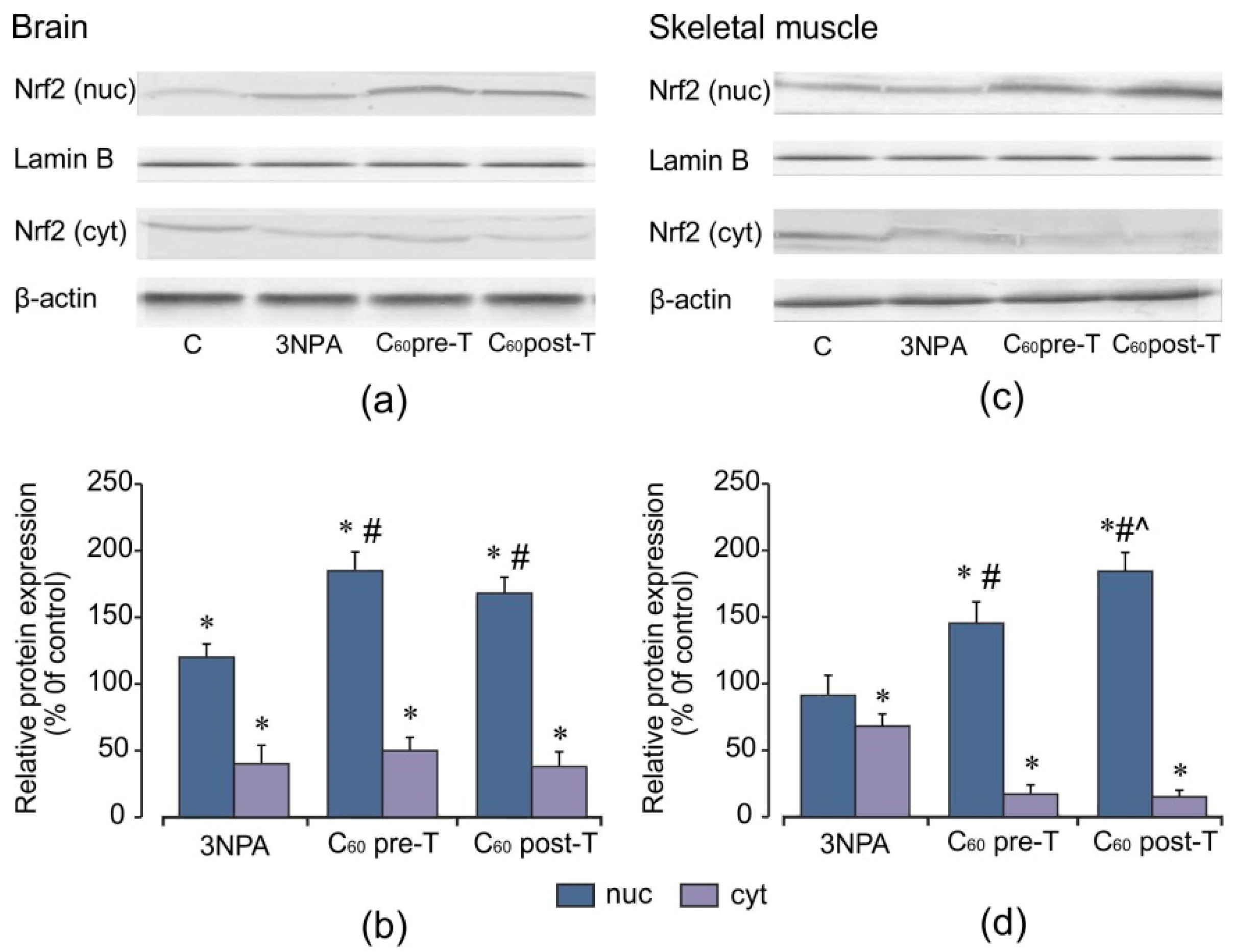 Ijms 22 05444 g008 Ijms 22 05444 g008
