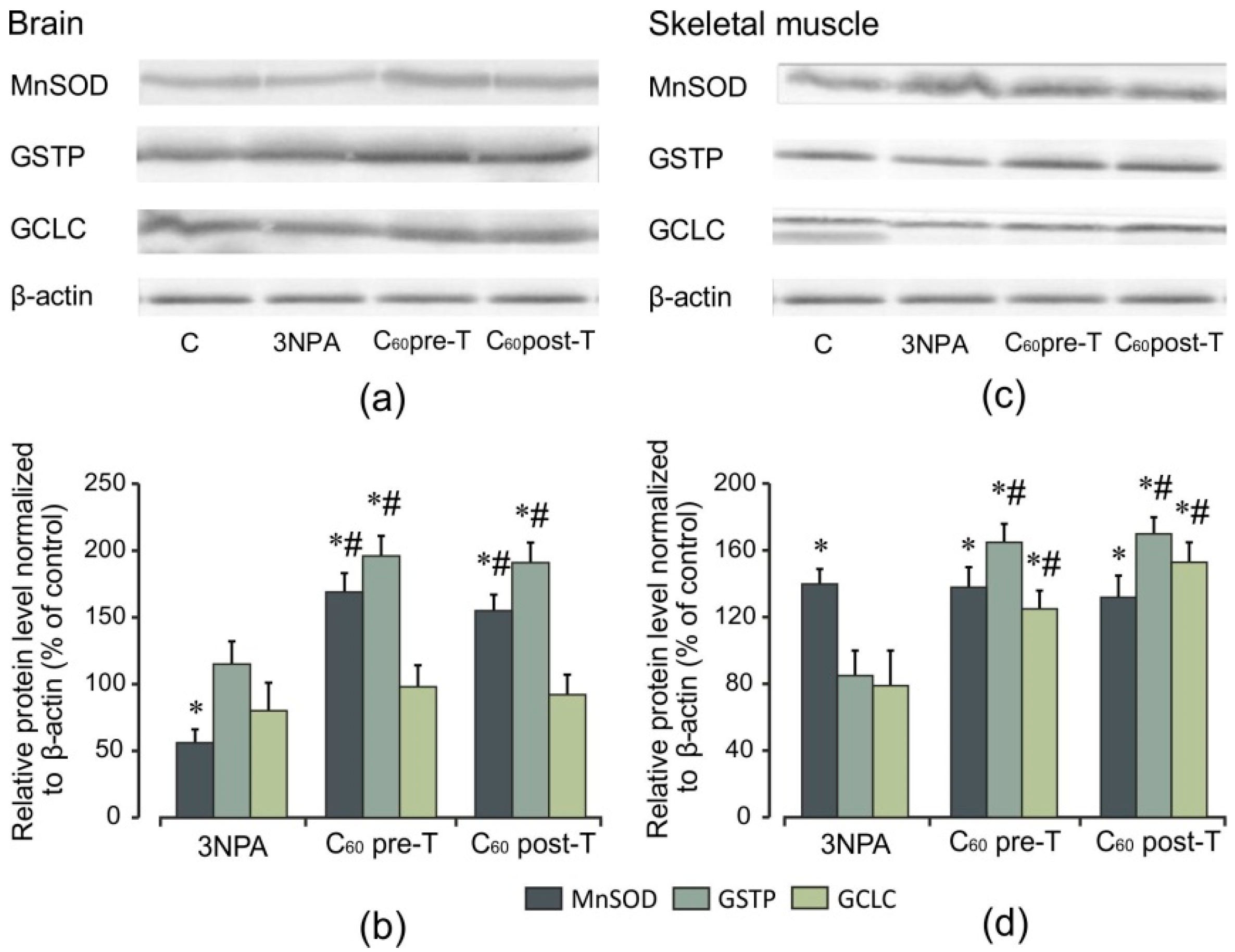 Ijms 22 05444 g009 Ijms 22 05444 g009