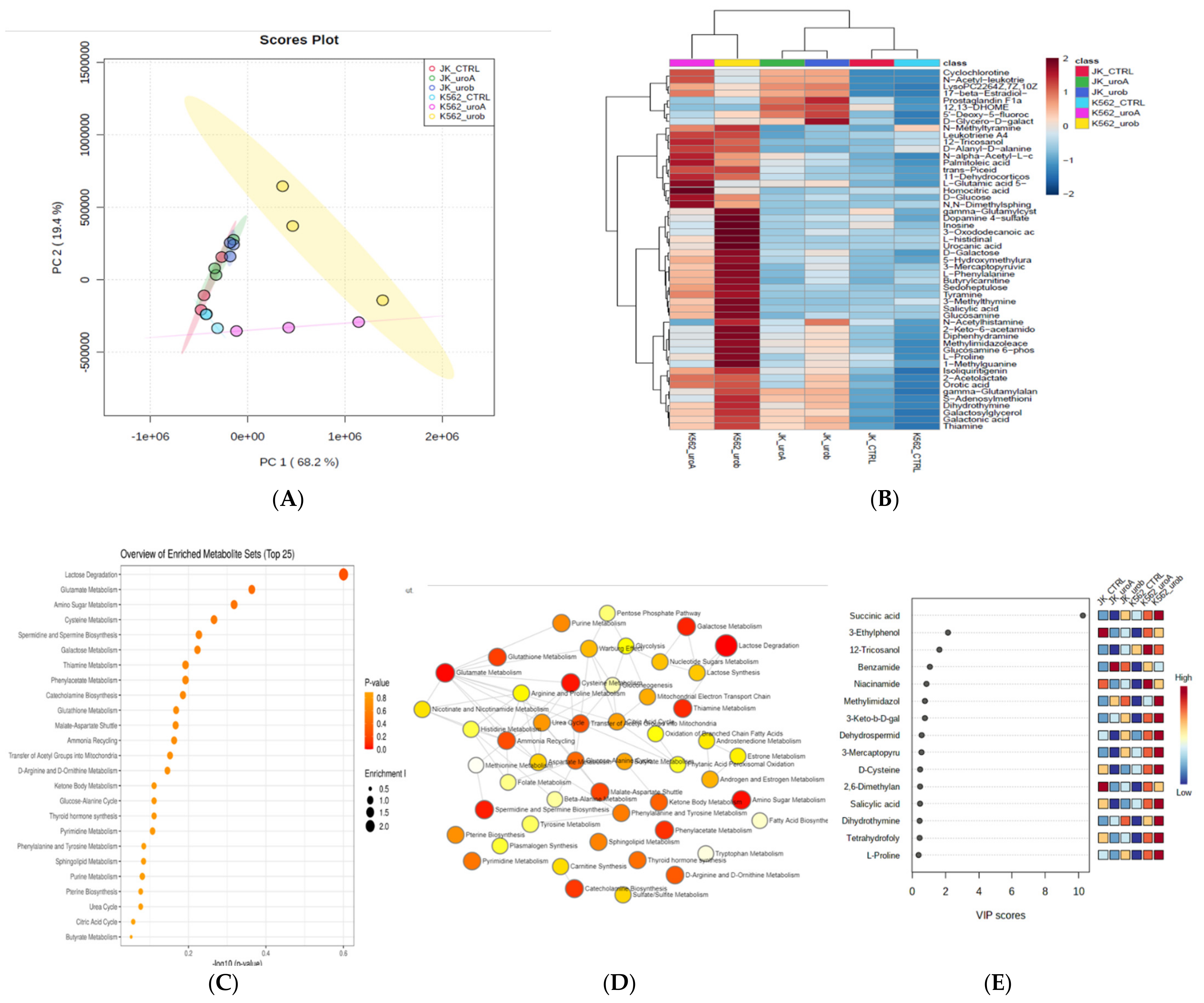Ijms 22 05465 g002 Ijms 22 05465 g002