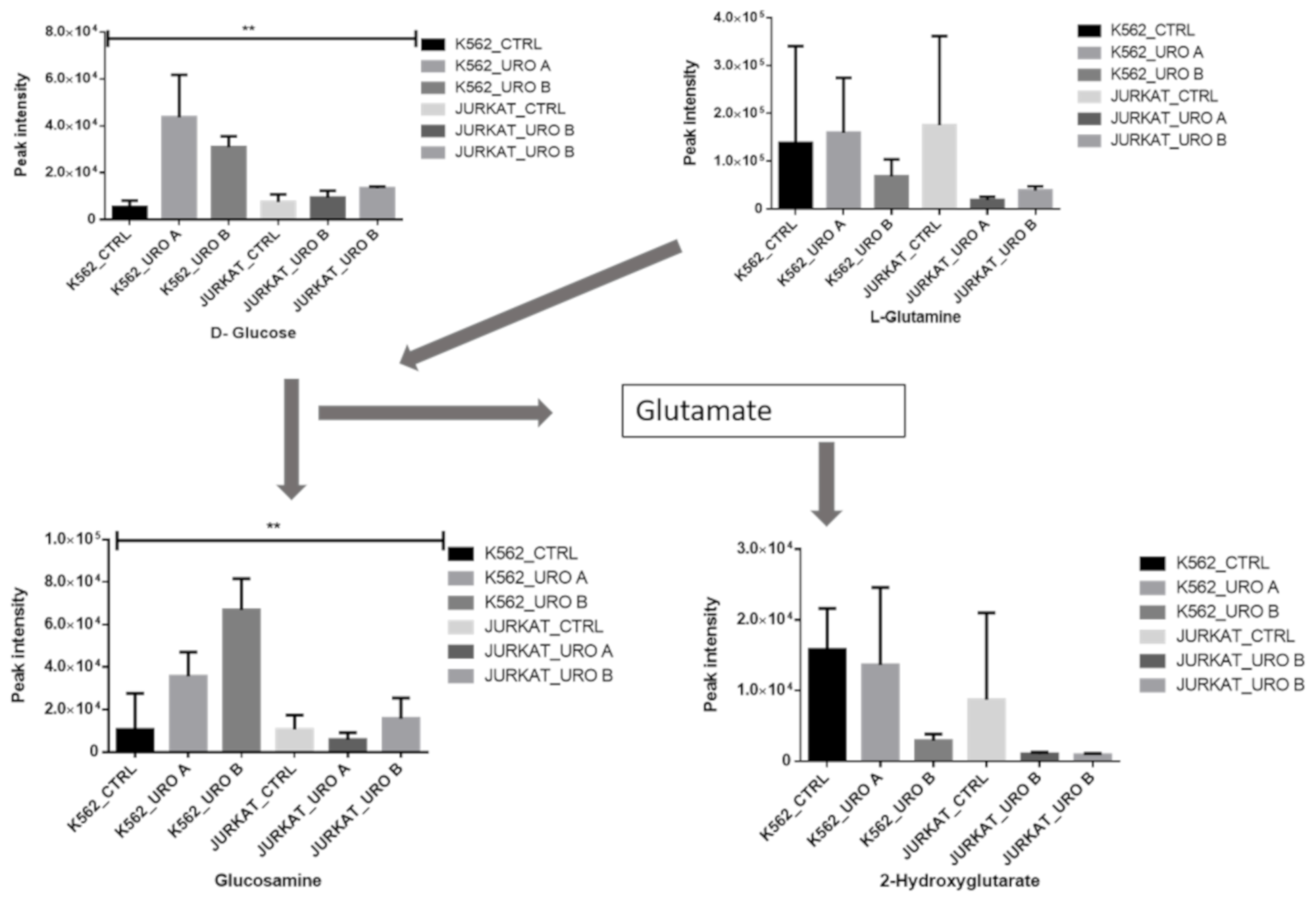 Ijms 22 05465 g004 Ijms 22 05465 g004