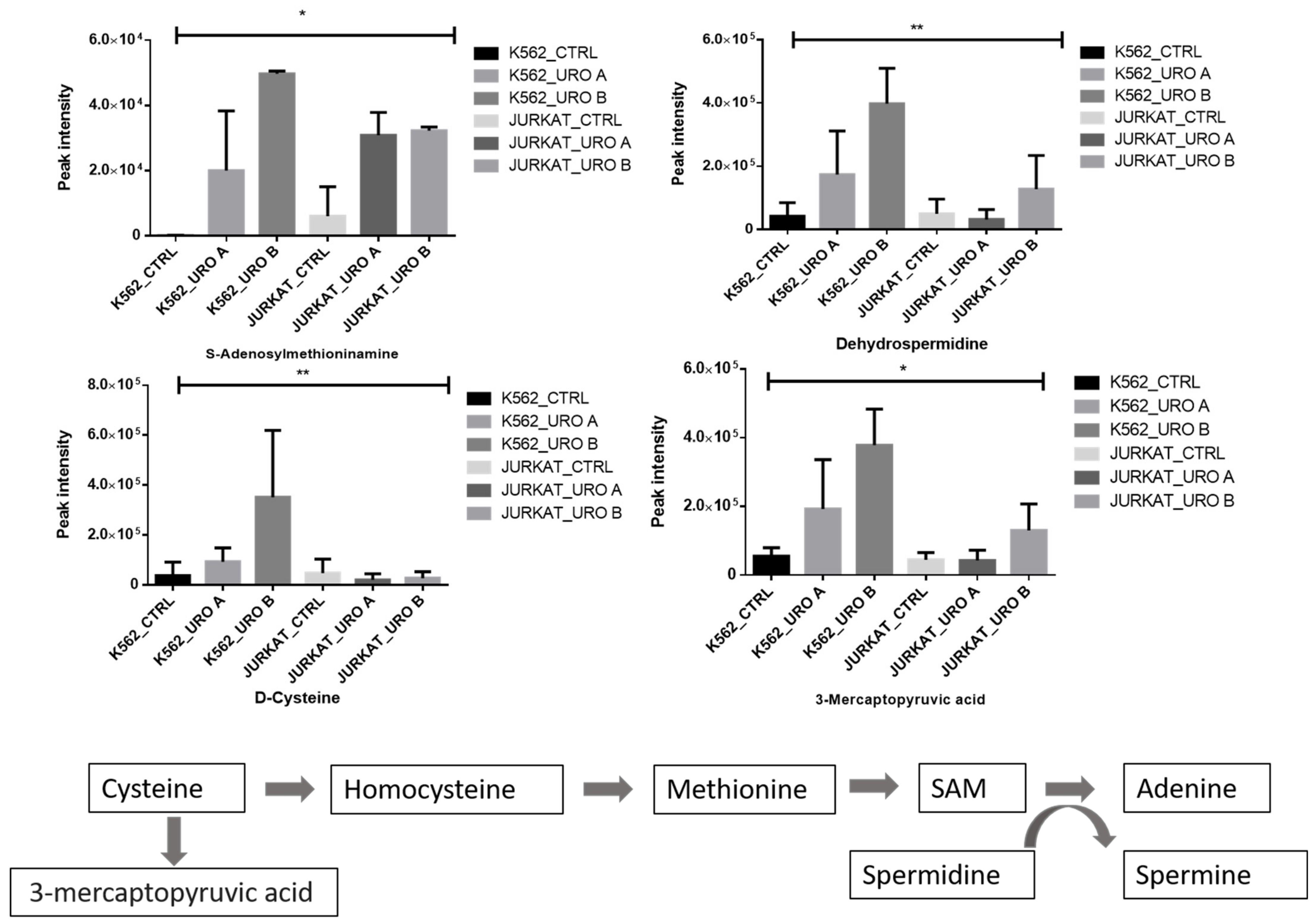 Ijms 22 05465 g005 Ijms 22 05465 g005