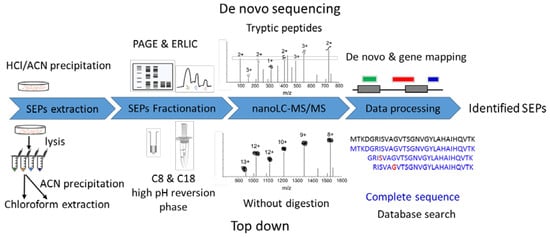 IJMS | Free Full-Text | Improved Identification of Small Open Reading  Frames Encoded Peptides by Top-Down Proteomic Approaches and De Novo  Sequencing