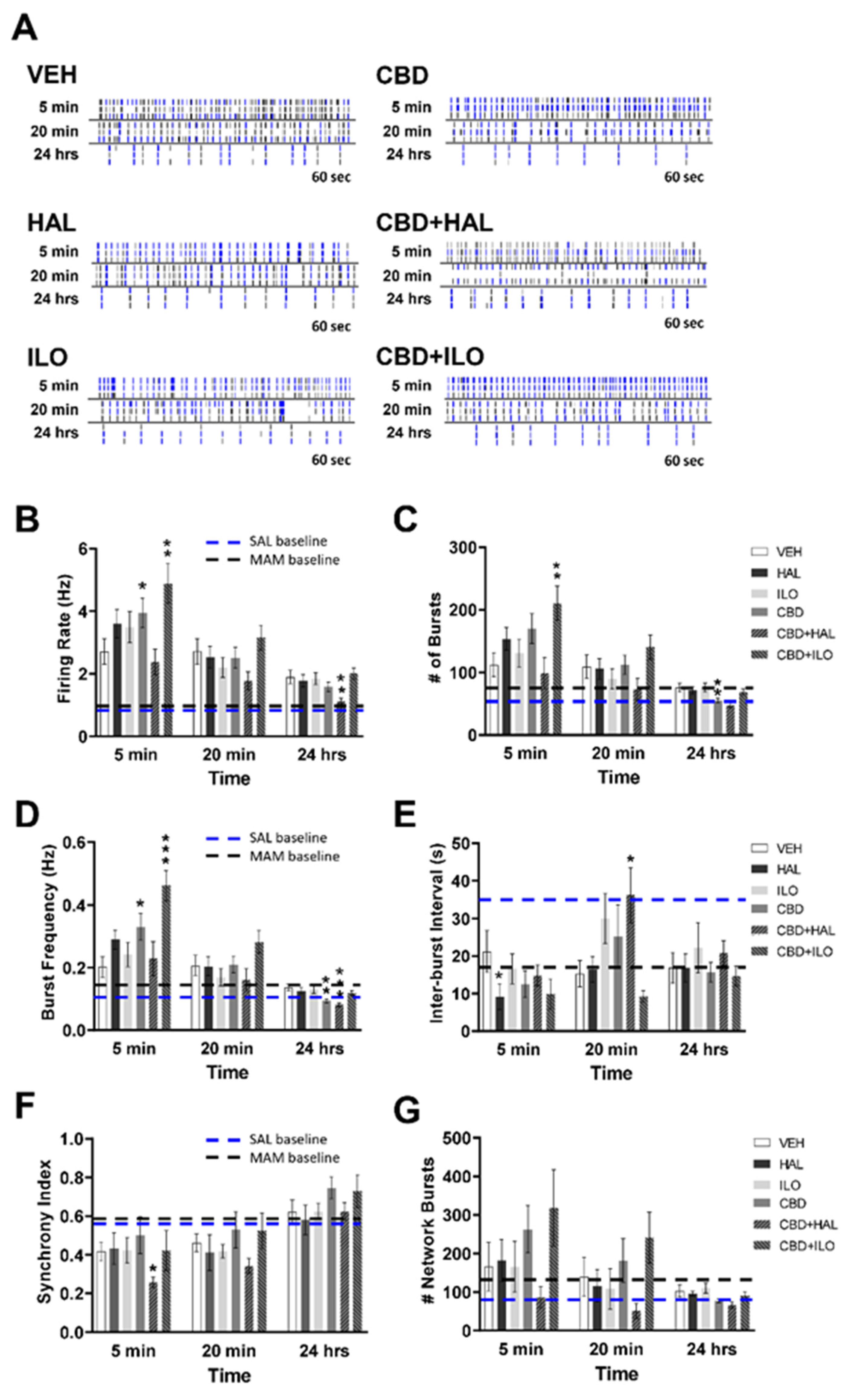 Ijms 22 05511 g004 Ijms 22 05511 g004