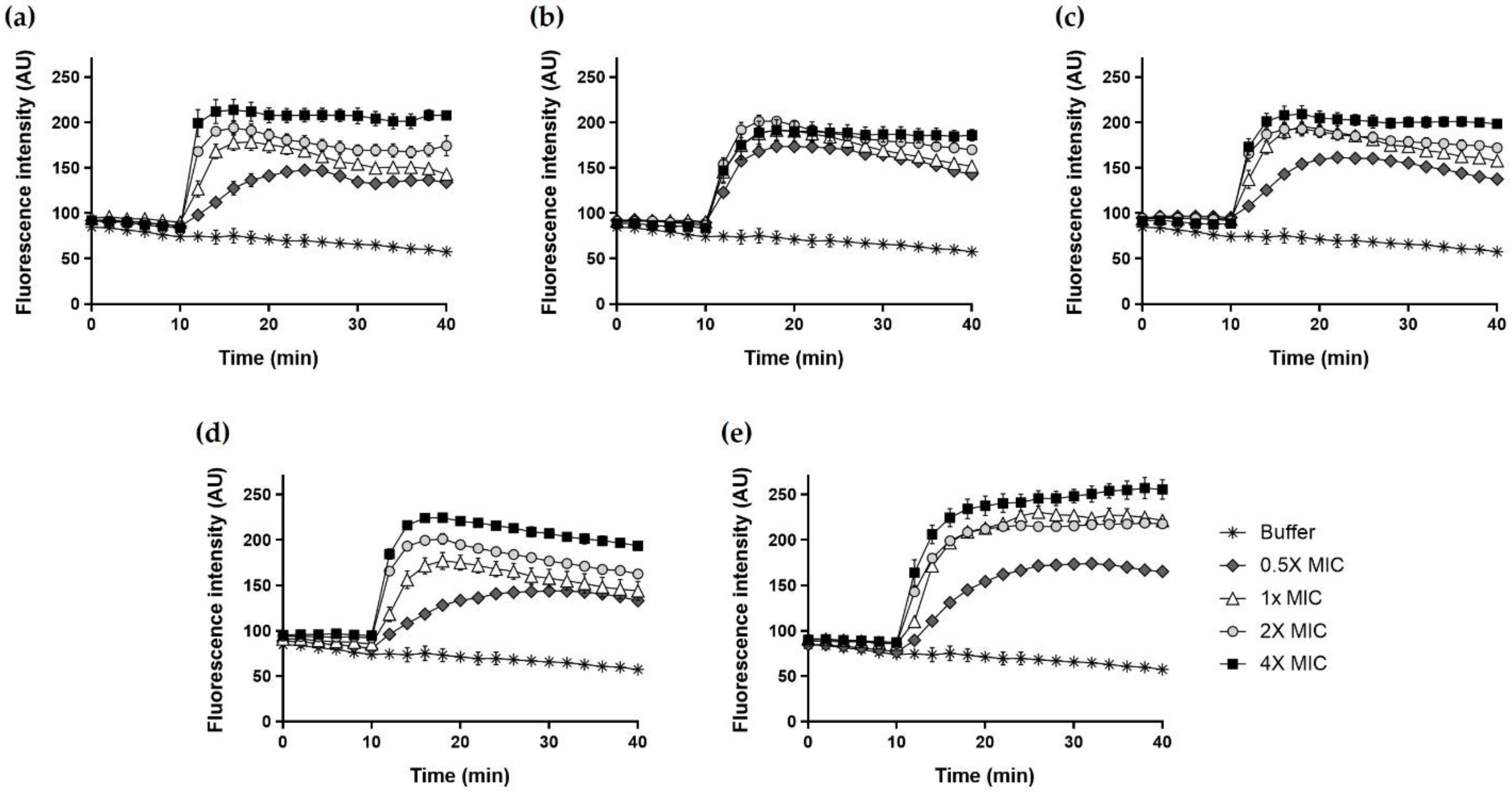 Ijms 22 05540 g011 Ijms 22 05540 g011