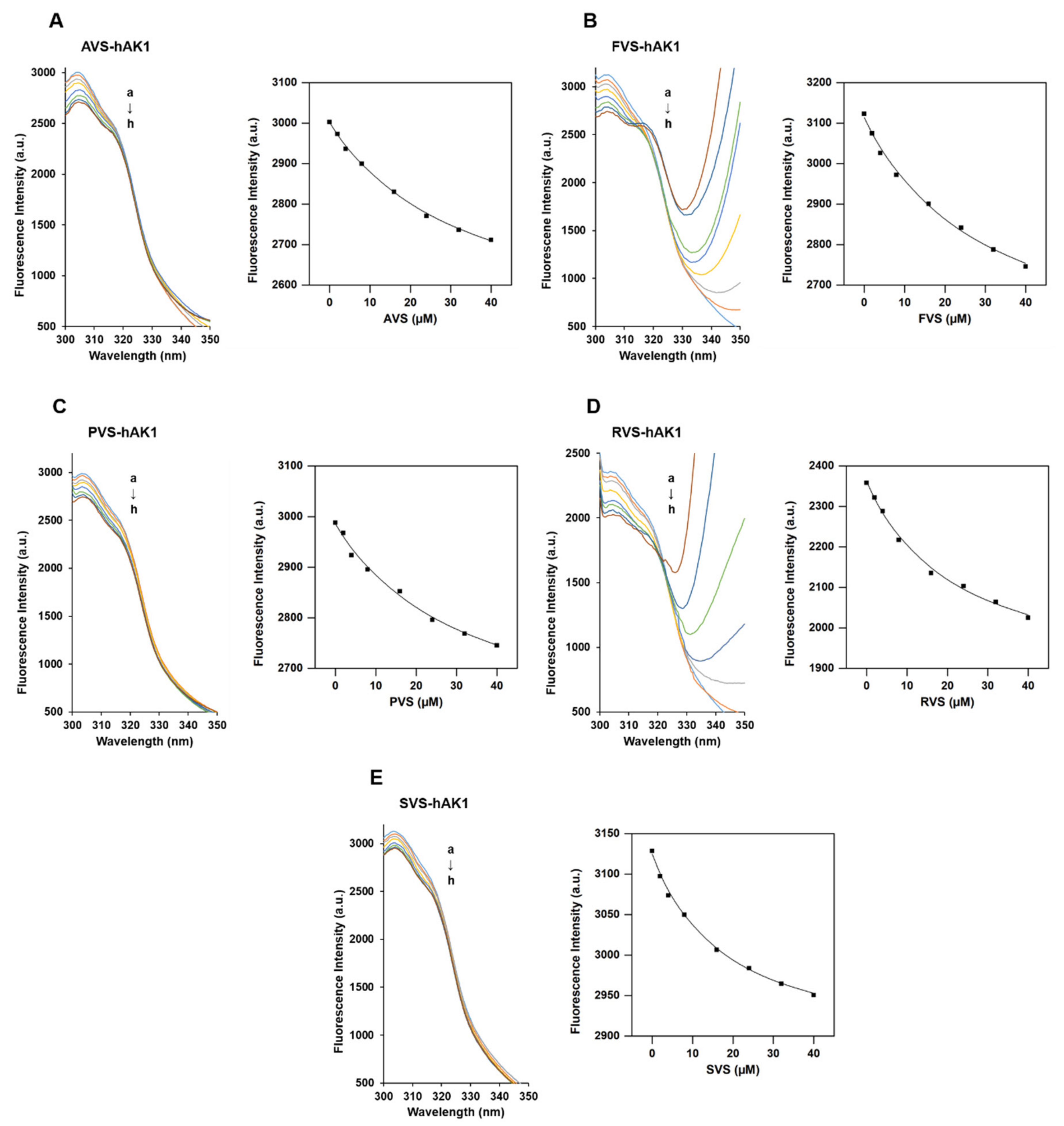 Ijms 22 05541 g003 Ijms 22 05541 g003