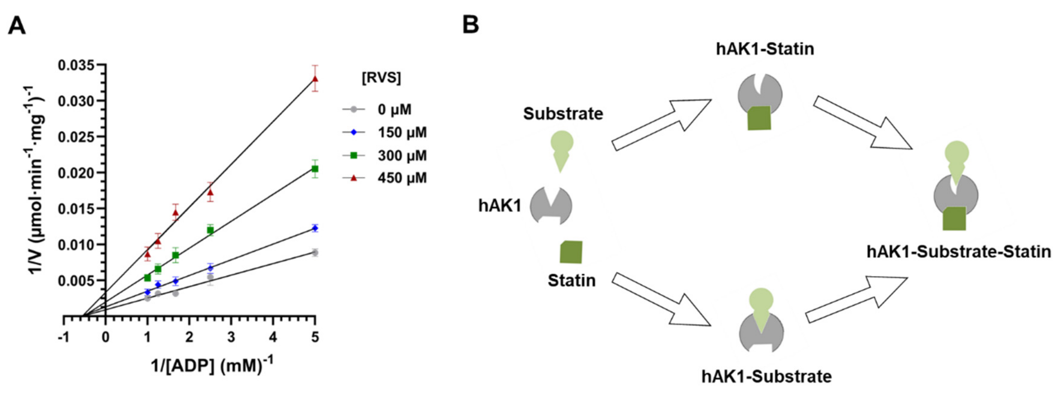 Ijms 22 05541 g006 Ijms 22 05541 g006