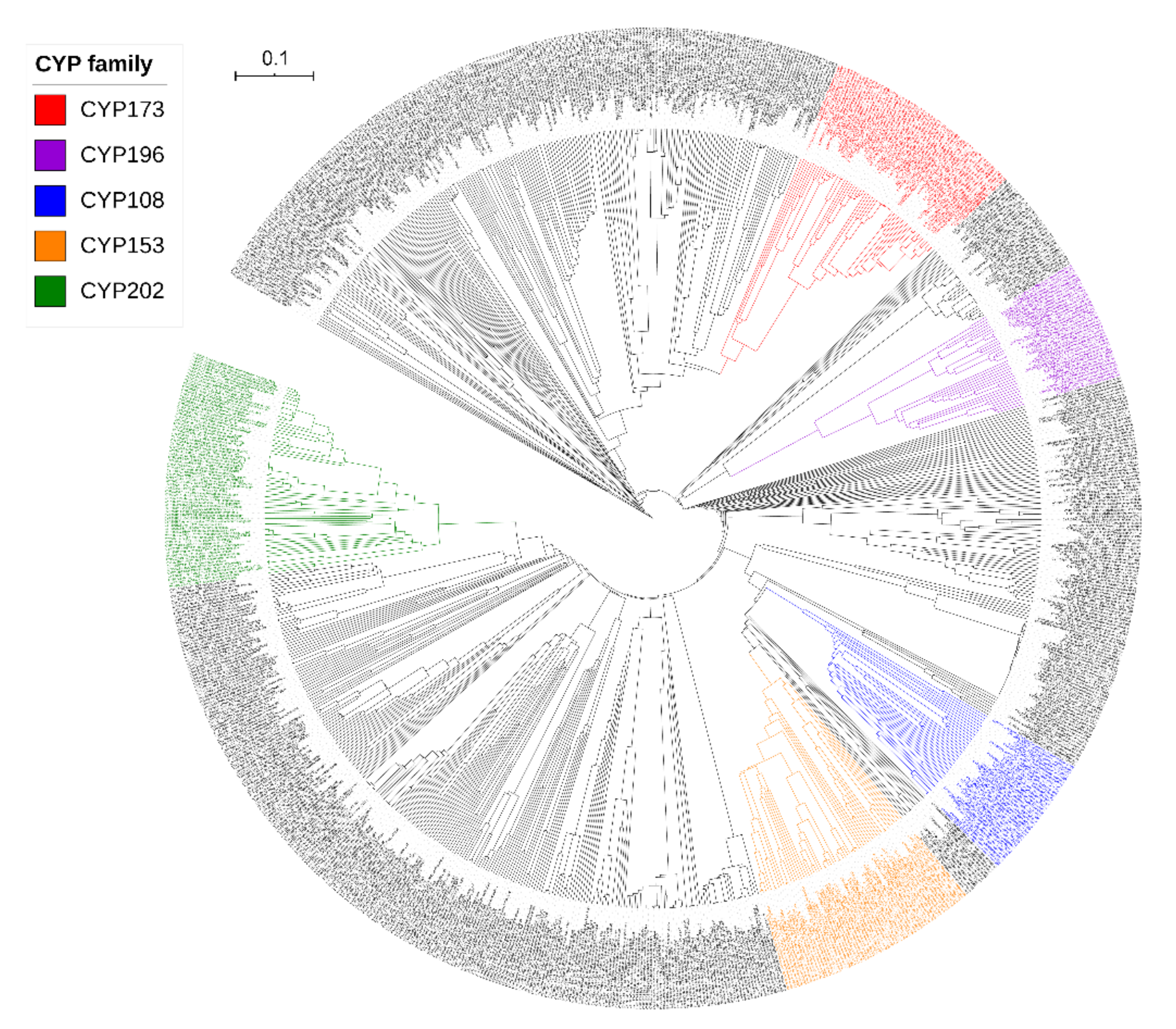 Ijms 22 05542 g002 Ijms 22 05542 g002