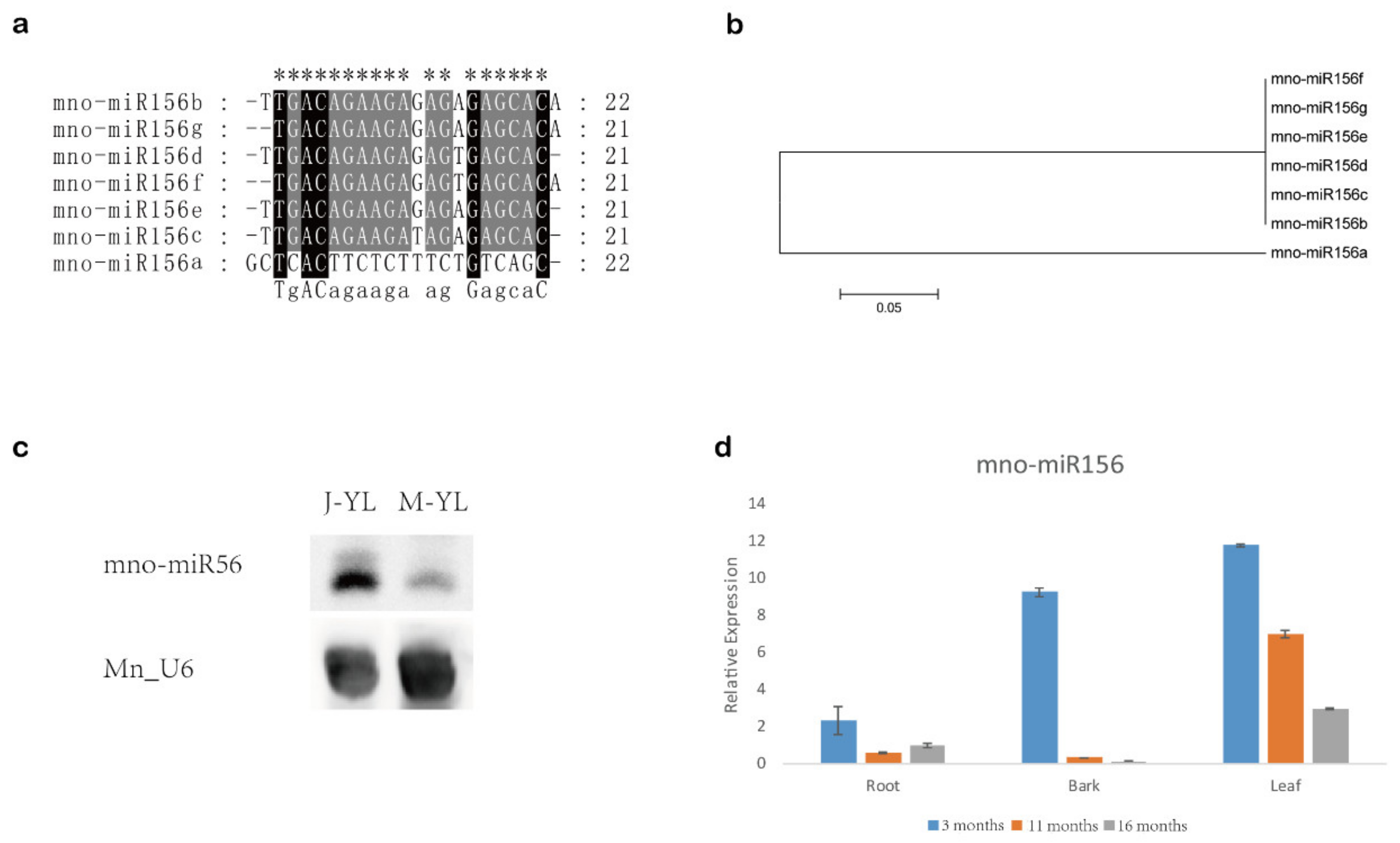 Ijms 22 05550 g001 Ijms 22 05550 g001