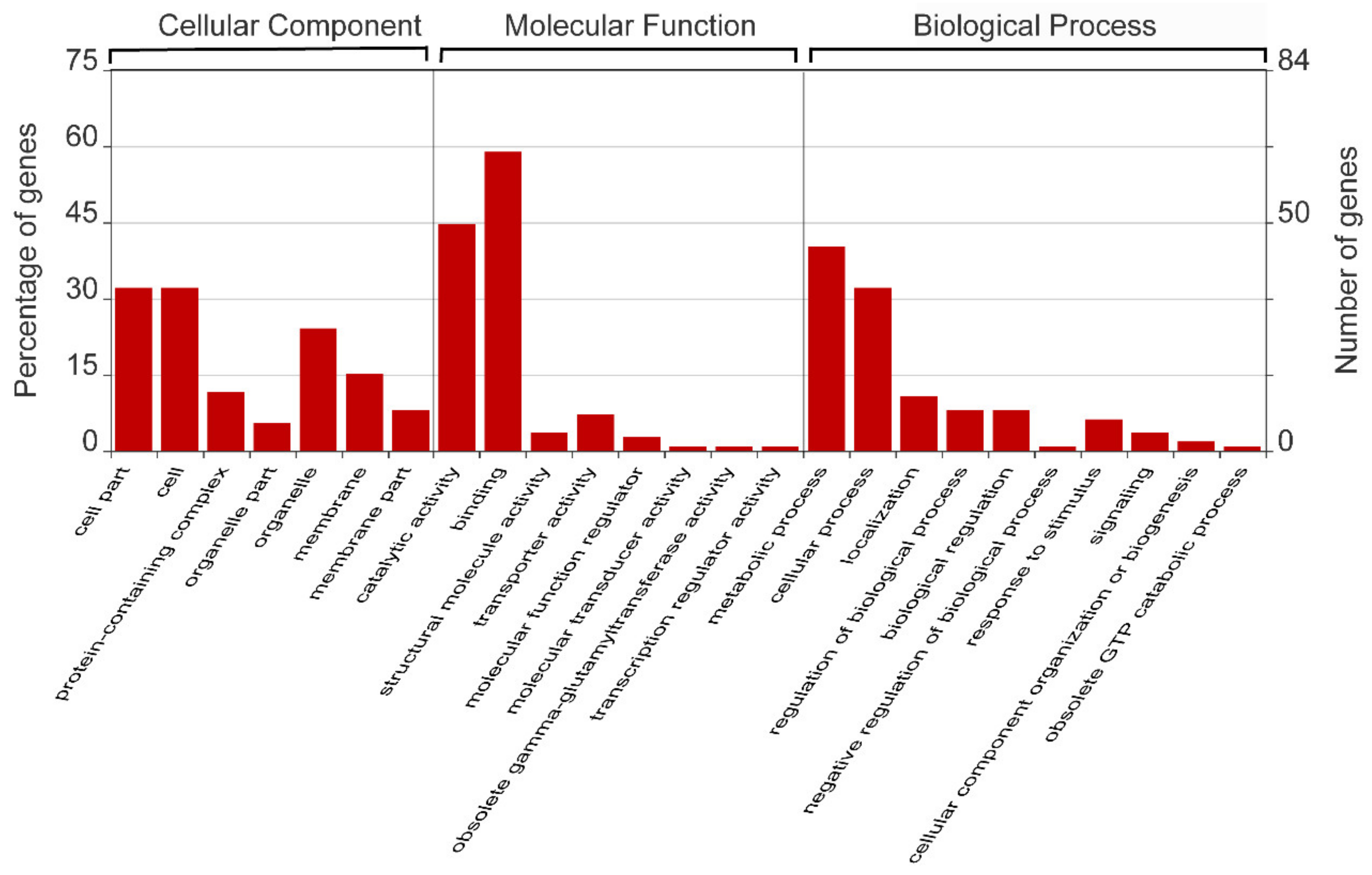 Ijms 22 05550 g002 Ijms 22 05550 g002