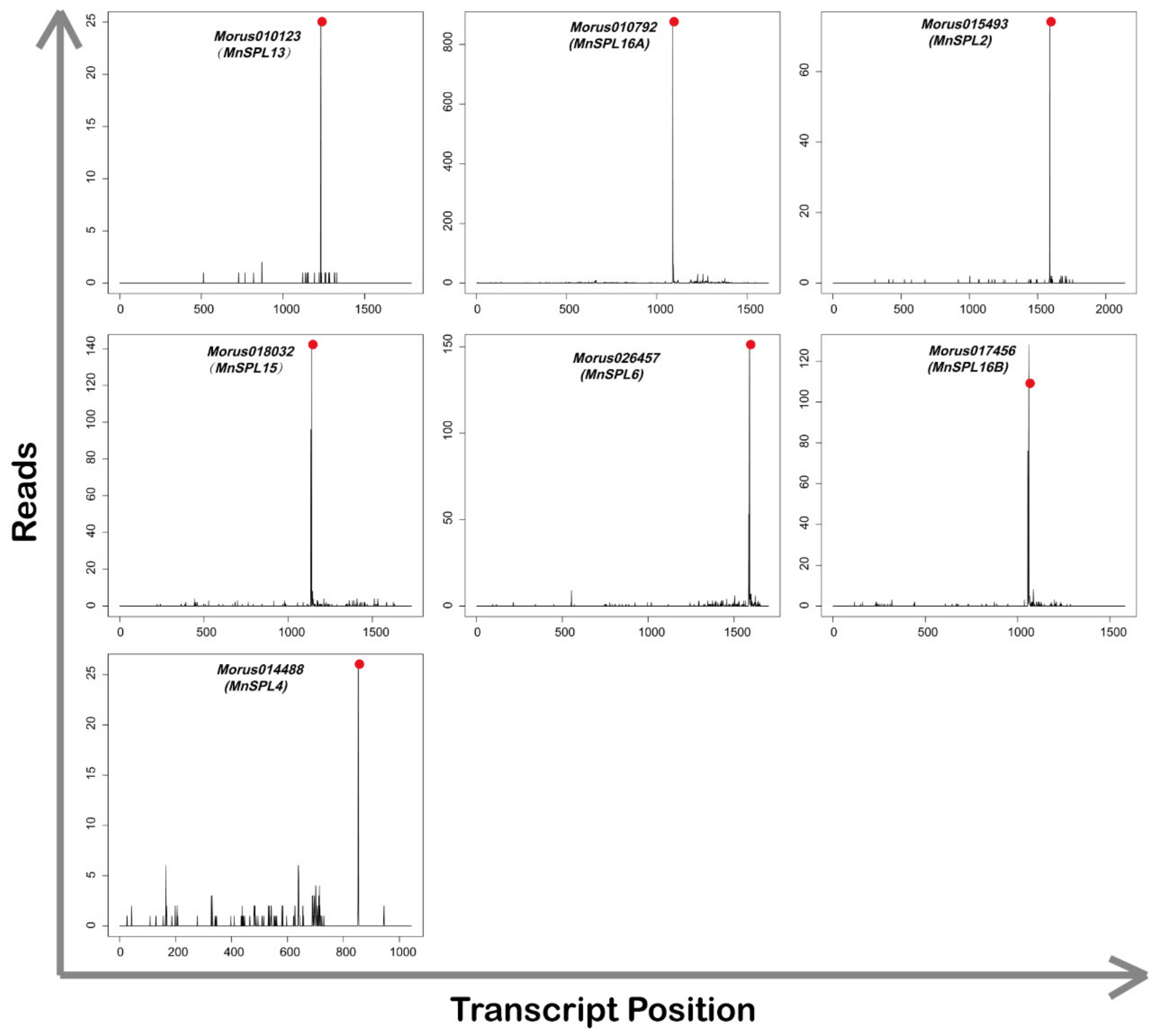Ijms 22 05550 g003 Ijms 22 05550 g003