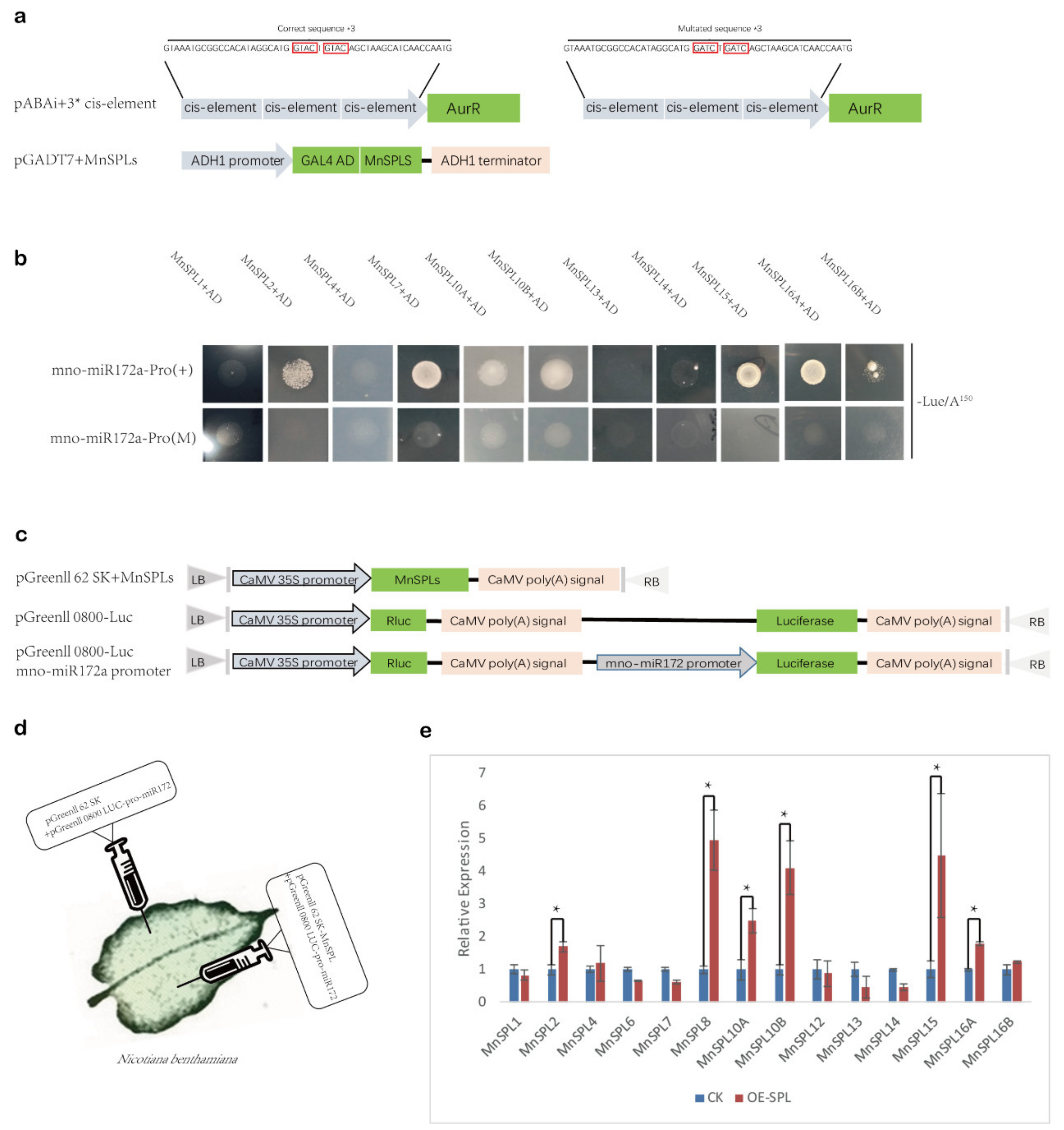Ijms 22 05550 g007 Ijms 22 05550 g007