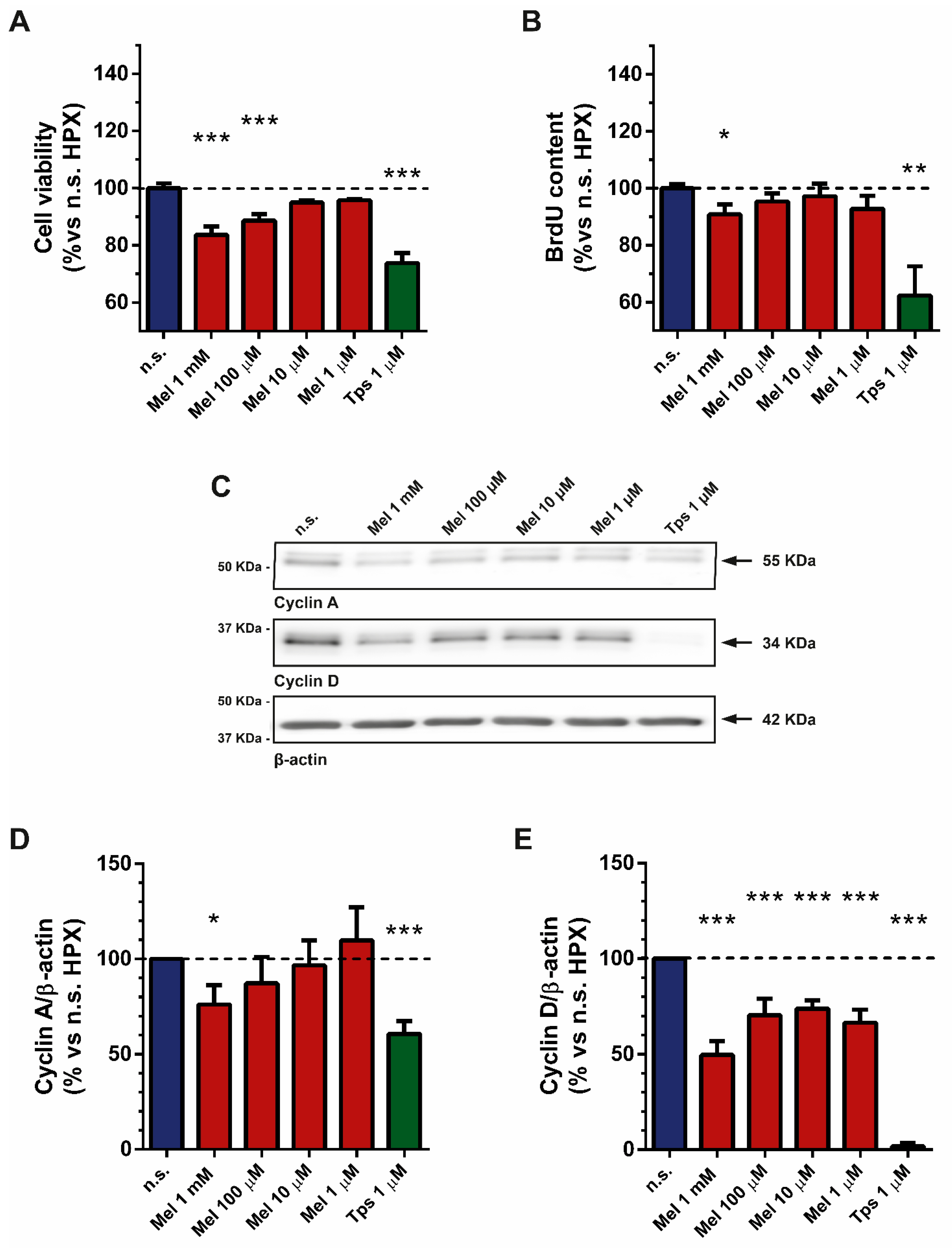 Ijms 22 05555 g001 Ijms 22 05555 g001