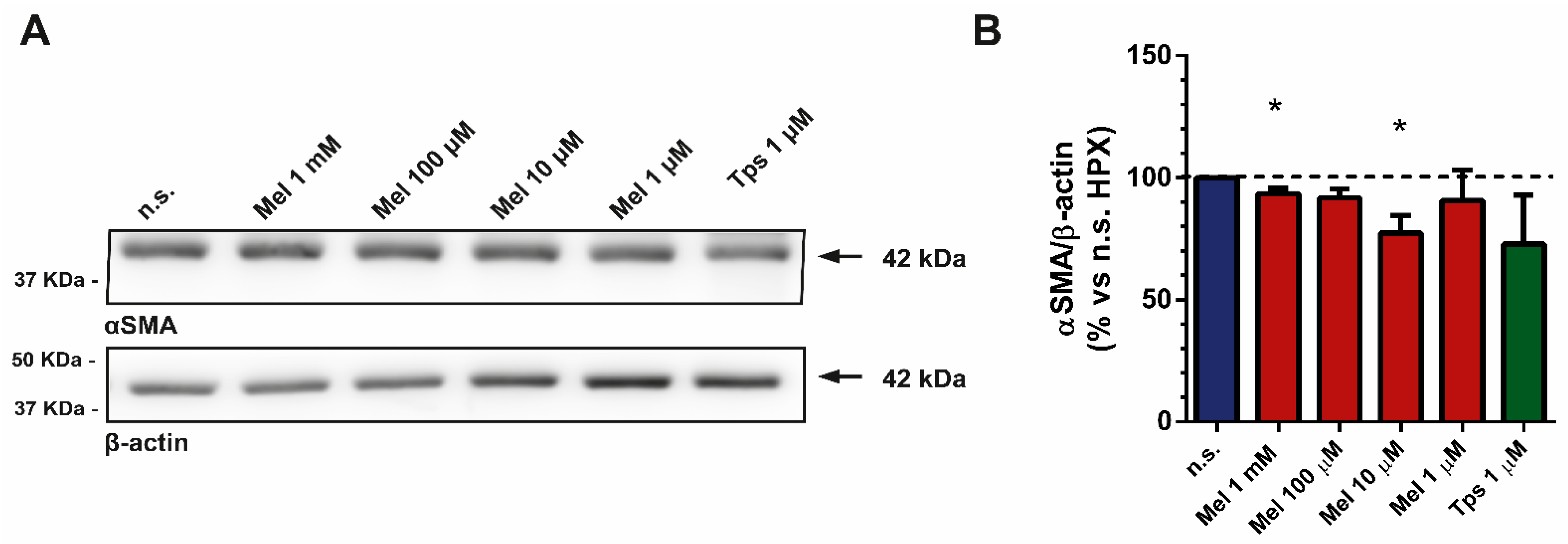 Ijms 22 05555 g005 Ijms 22 05555 g005