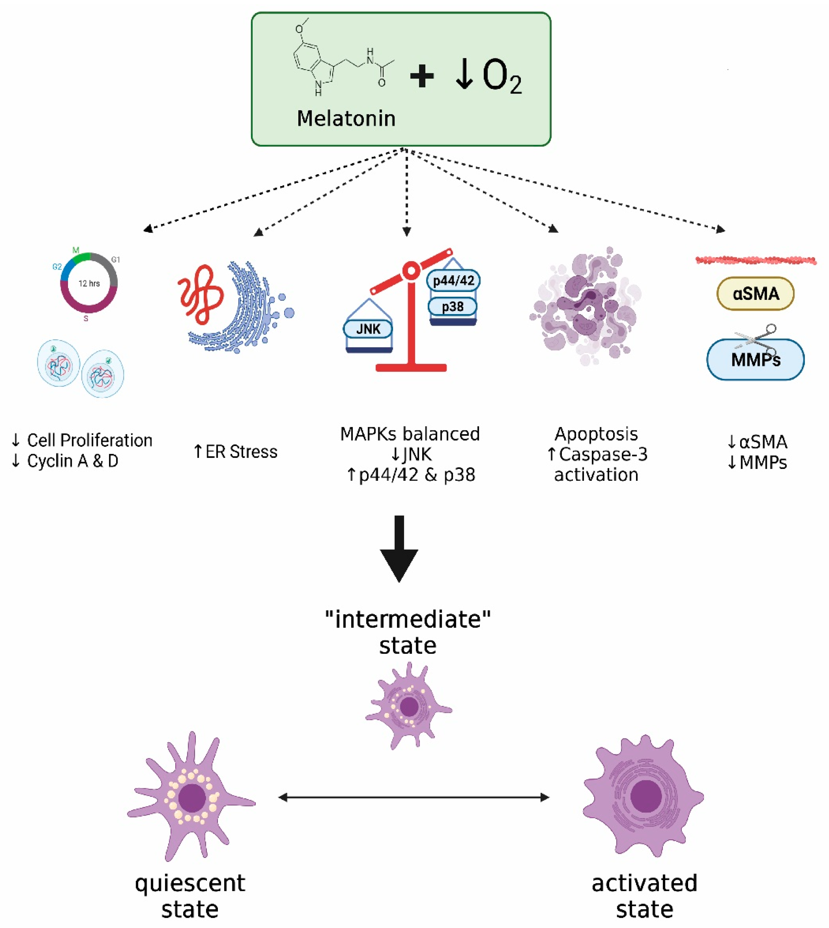 Ijms 22 05555 g007 Ijms 22 05555 g007