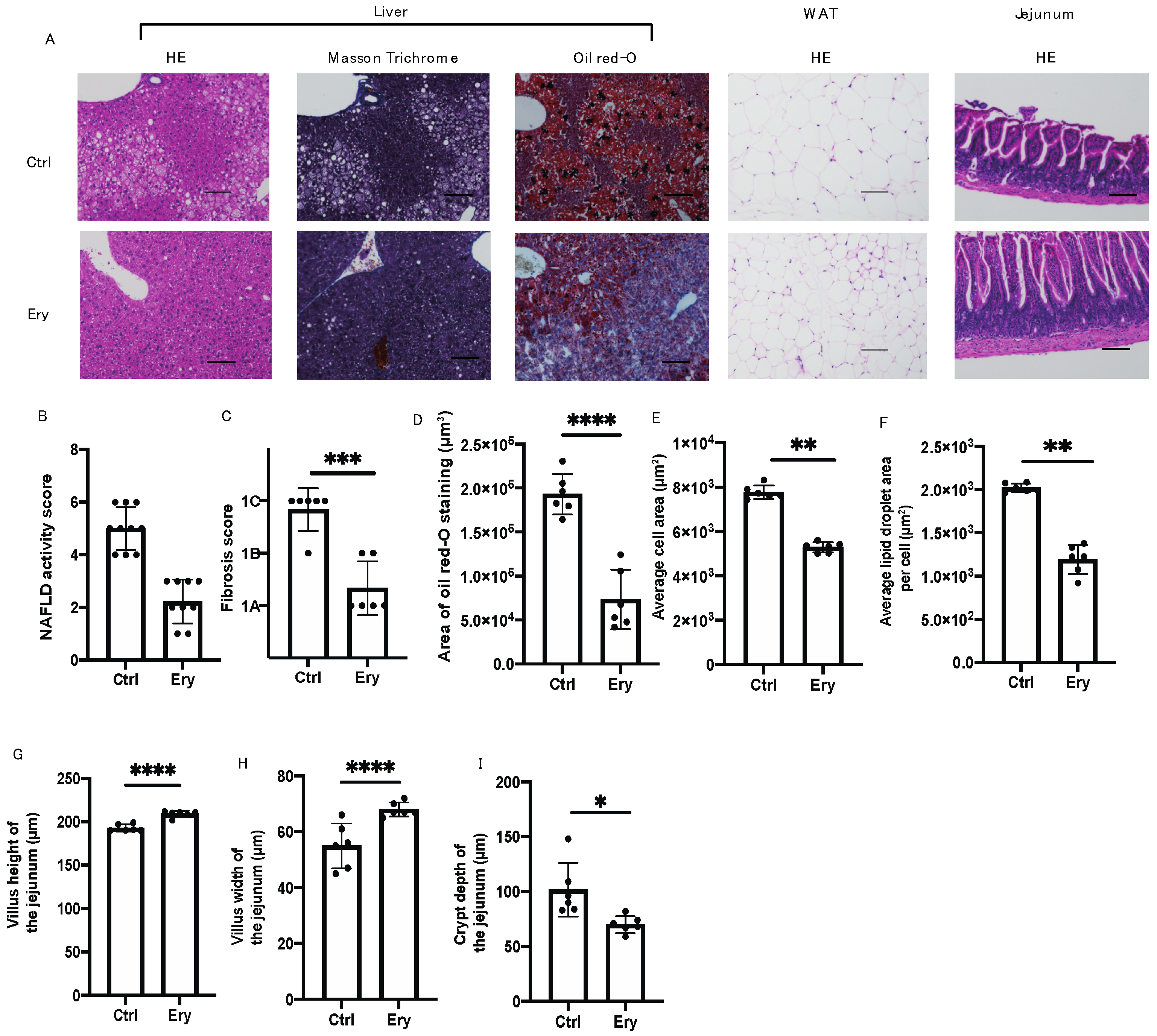 Ijms 22 05558 g003 Ijms 22 05558 g003