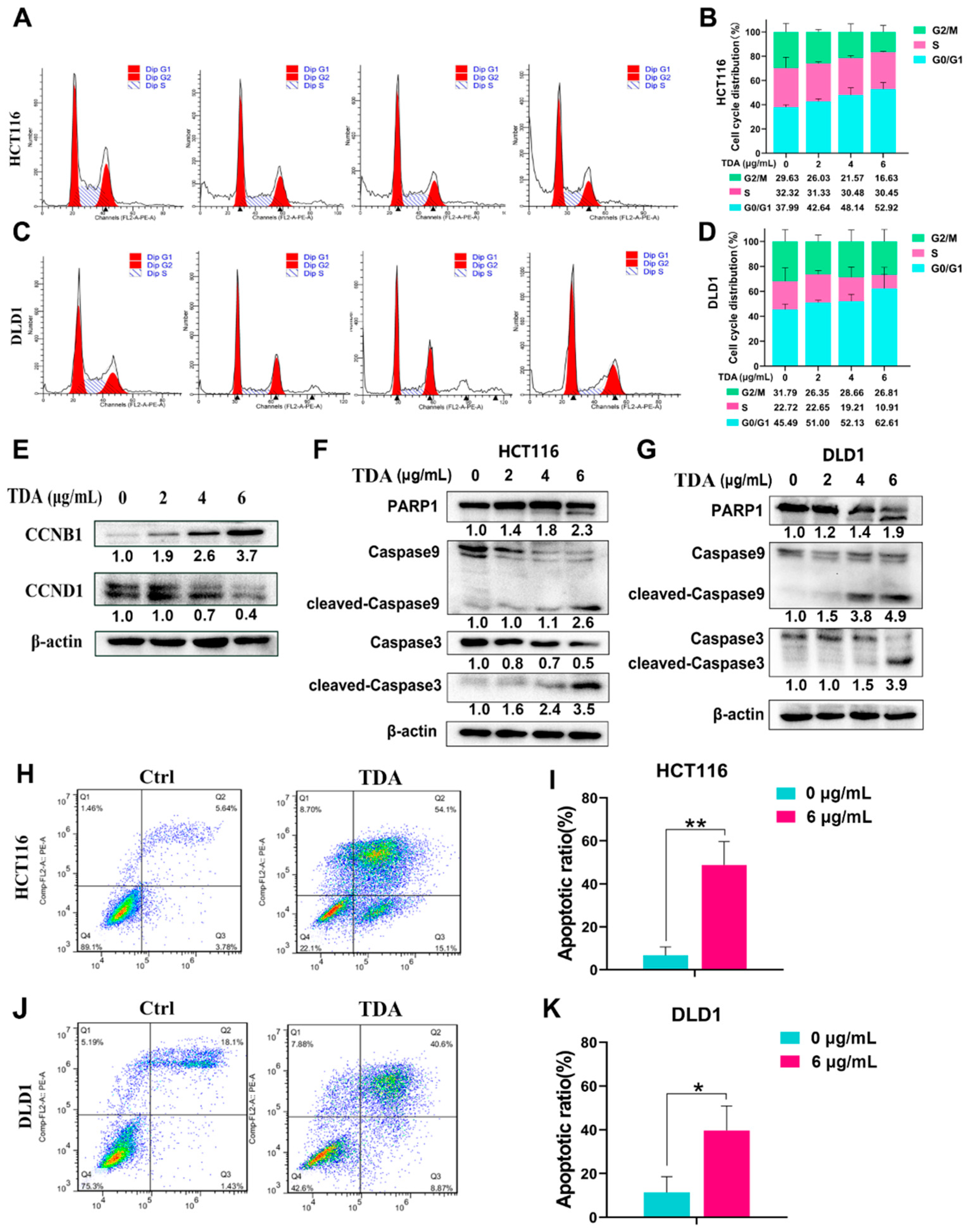 Ijms 22 05566 g002 Ijms 22 05566 g002
