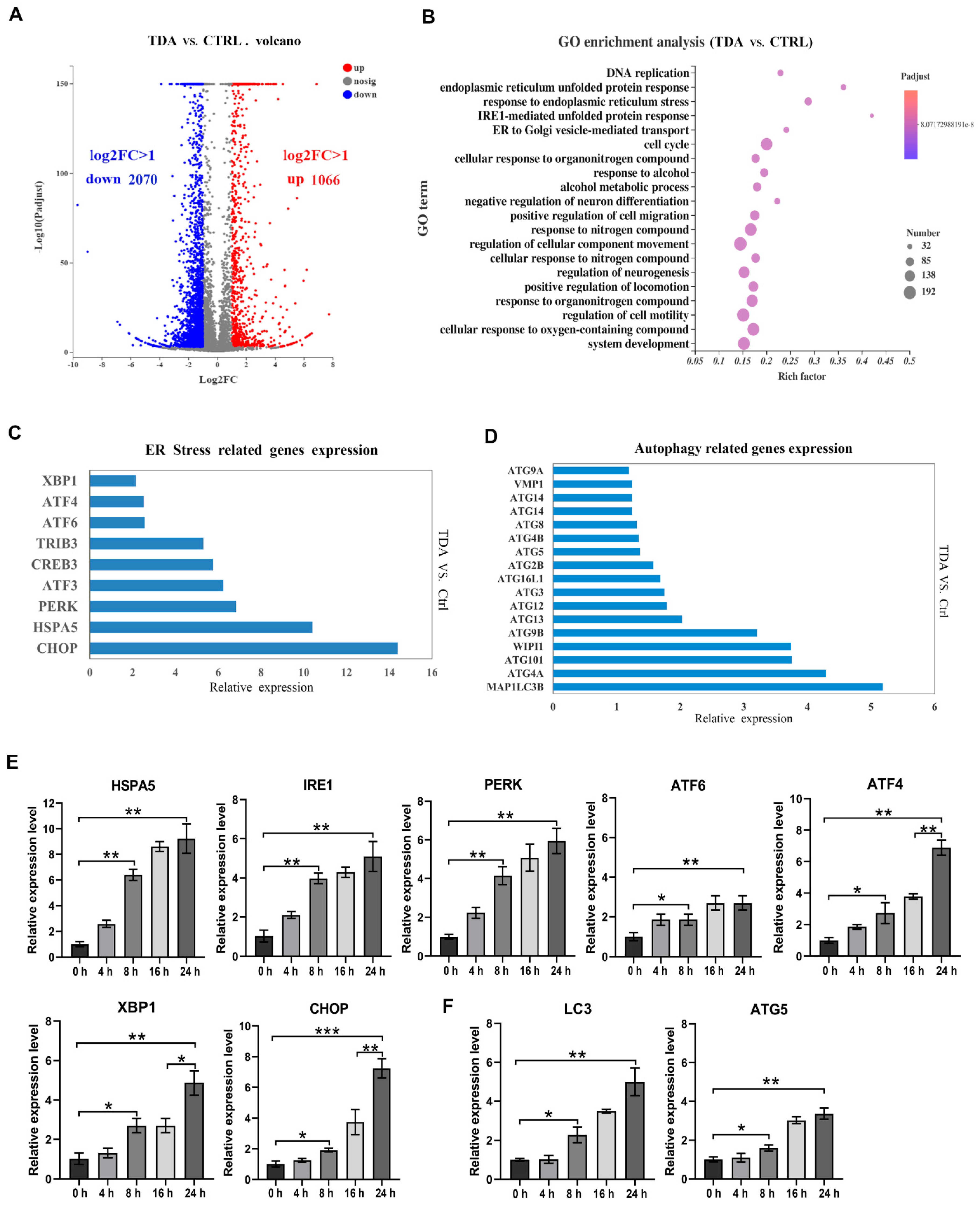 Ijms 22 05566 g003 Ijms 22 05566 g003