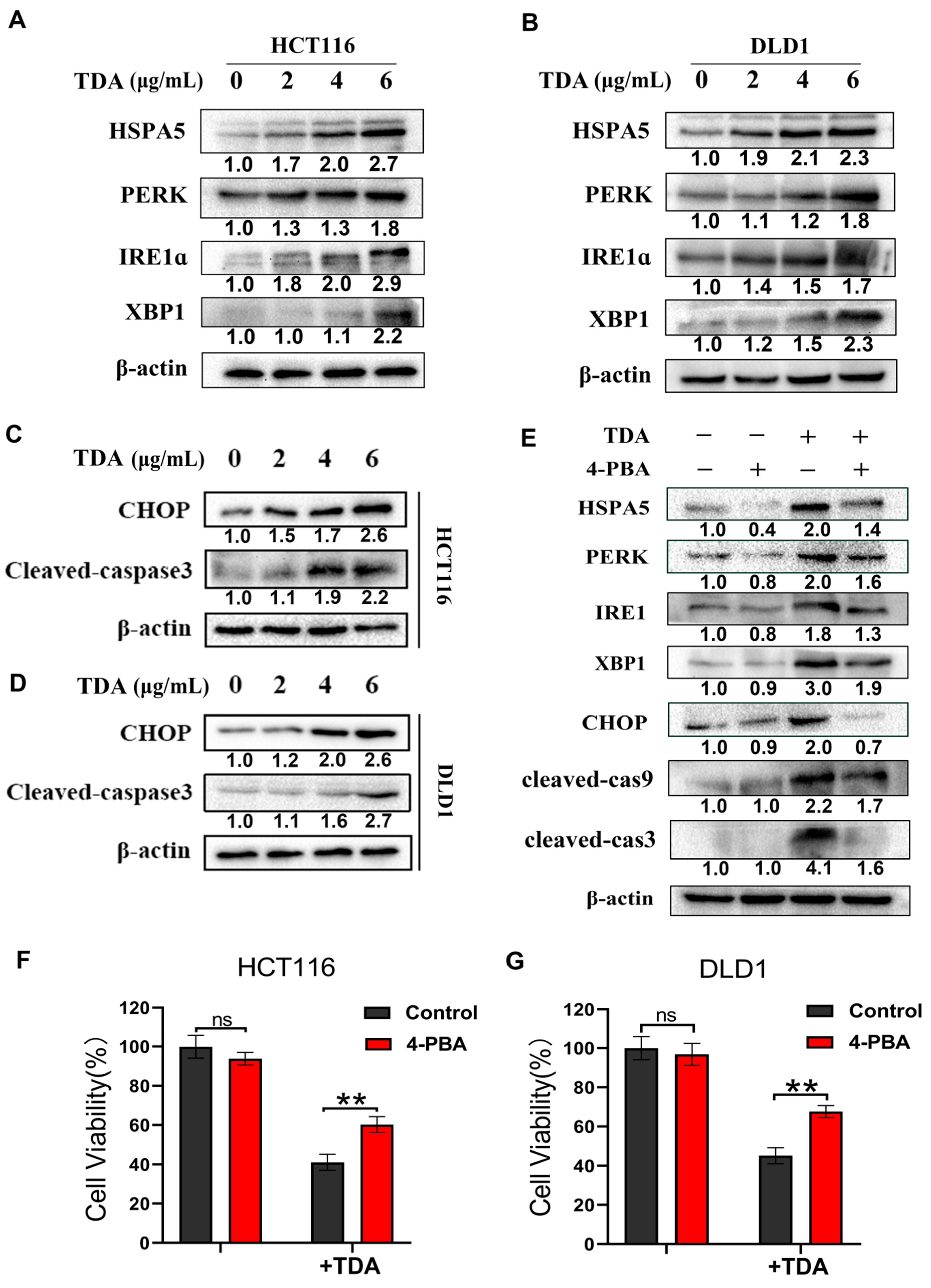 Ijms 22 05566 g004 Ijms 22 05566 g004