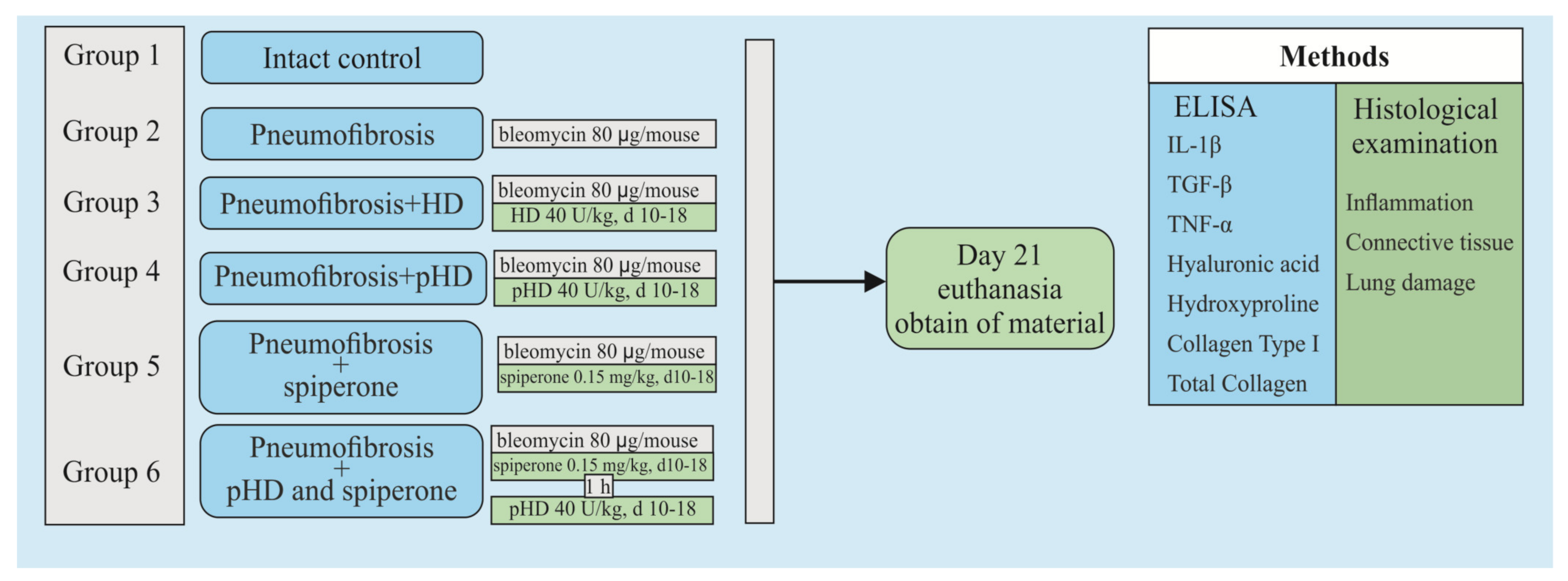 Ijms 22 05599 g002 Ijms 22 05599 g002