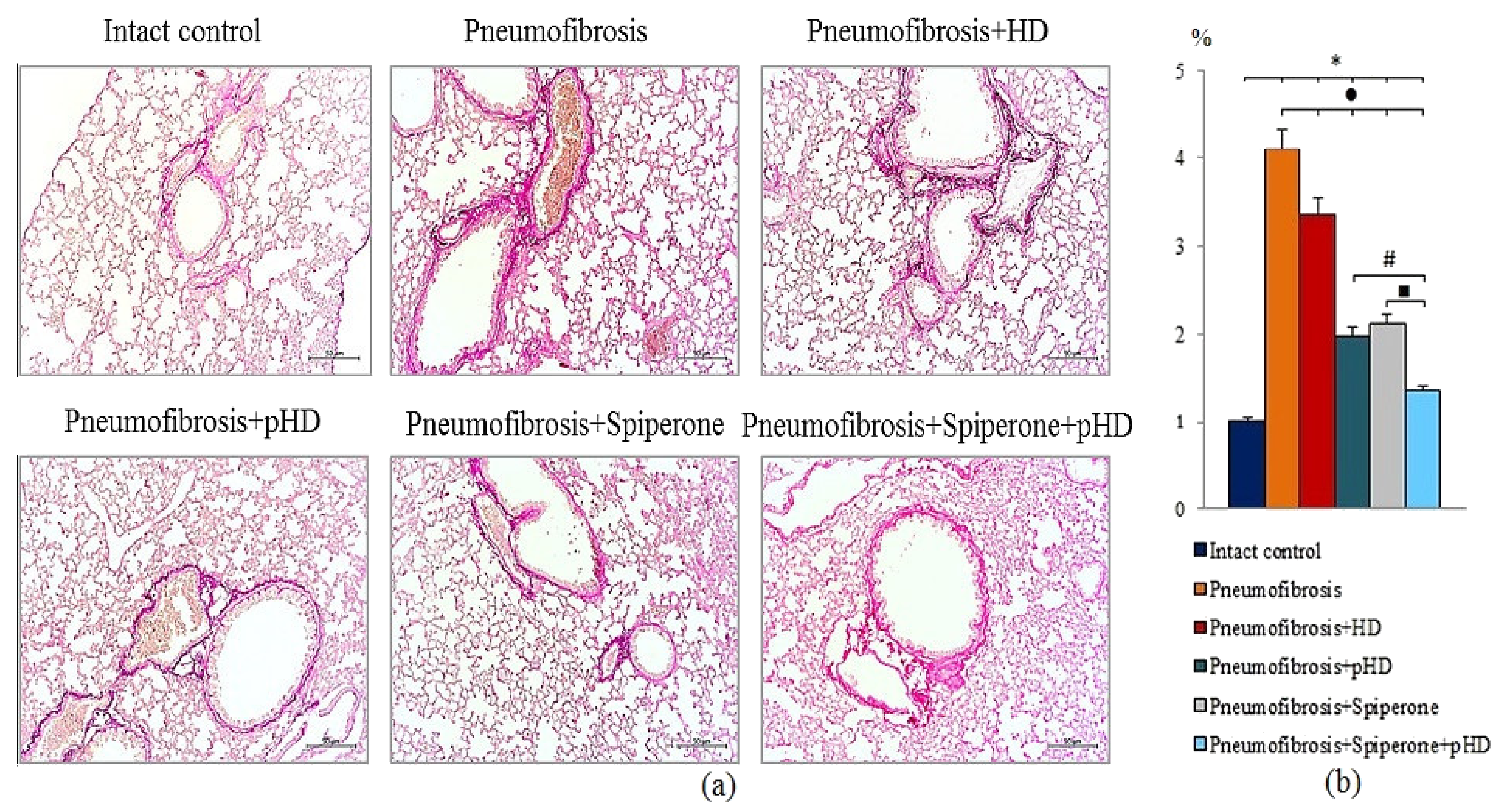 Ijms 22 05599 g006 Ijms 22 05599 g006