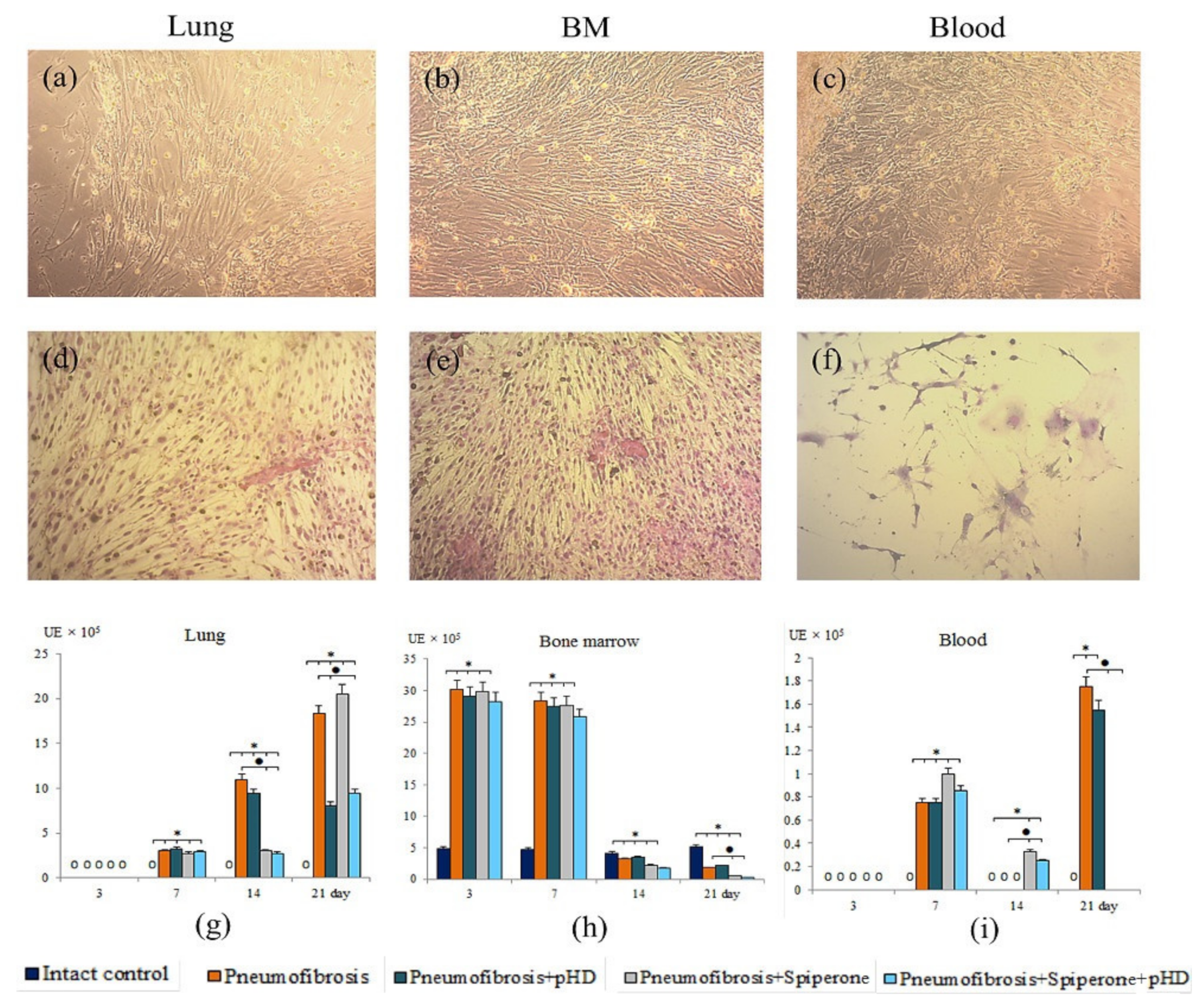 Ijms 22 05599 g009 Ijms 22 05599 g009