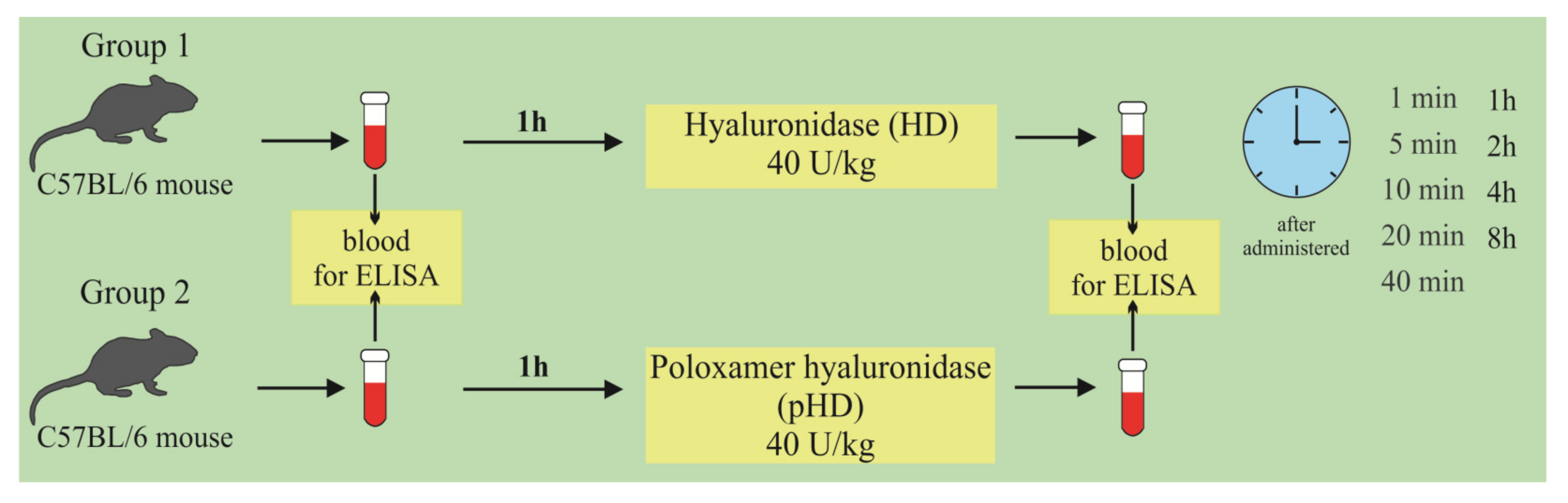 Ijms 22 05599 g011 Ijms 22 05599 g011