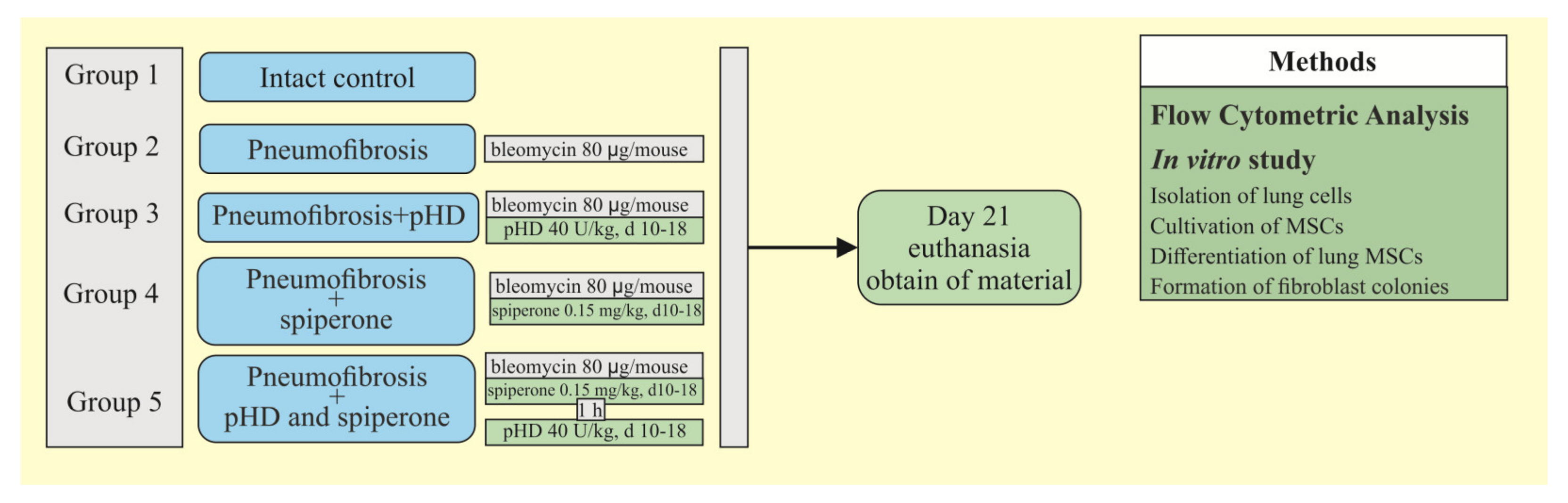 Ijms 22 05599 g012 Ijms 22 05599 g012