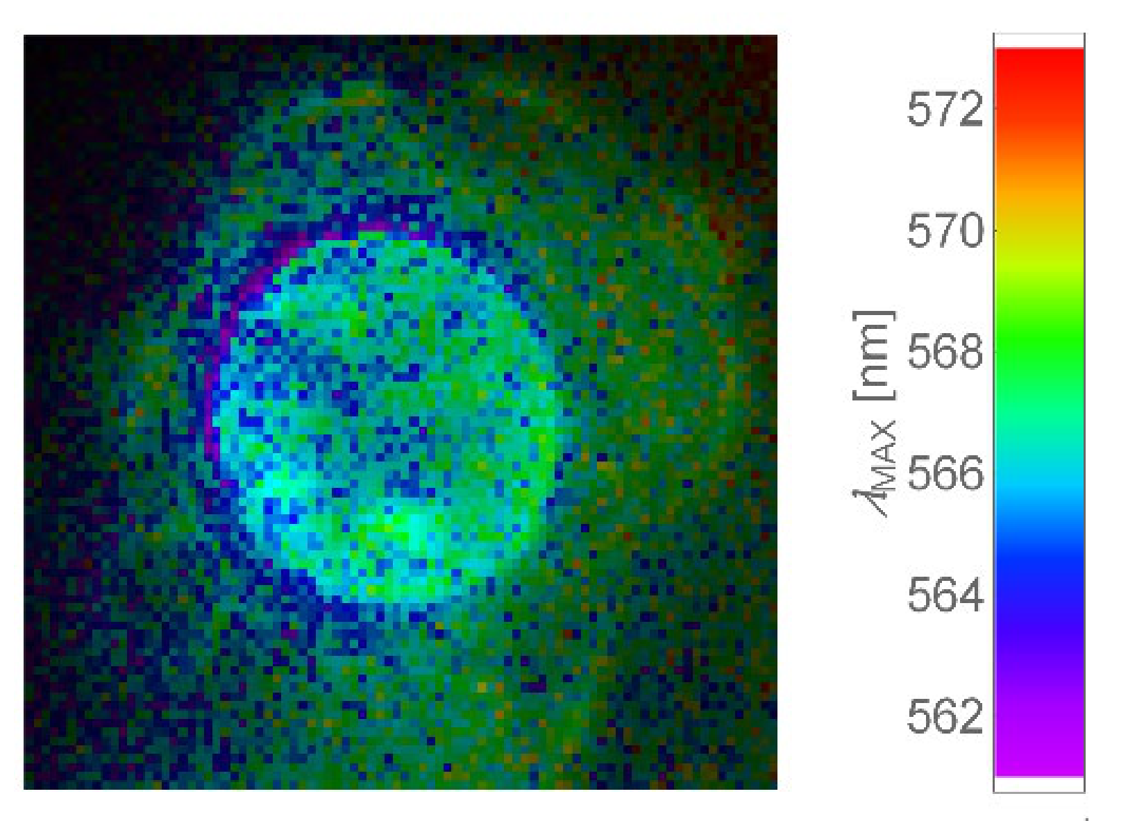 Ijms 22 05608 g004 Ijms 22 05608 g004