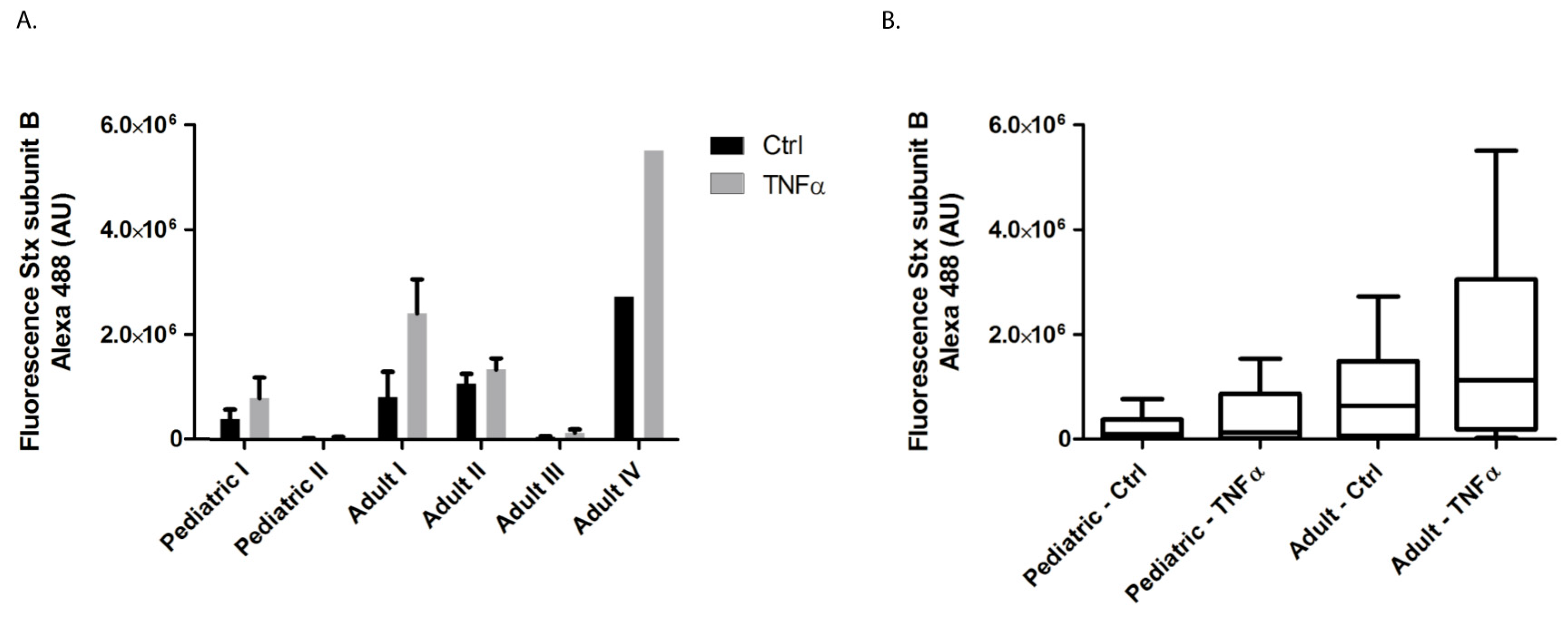 Ijms 22 05615 g001 Ijms 22 05615 g001