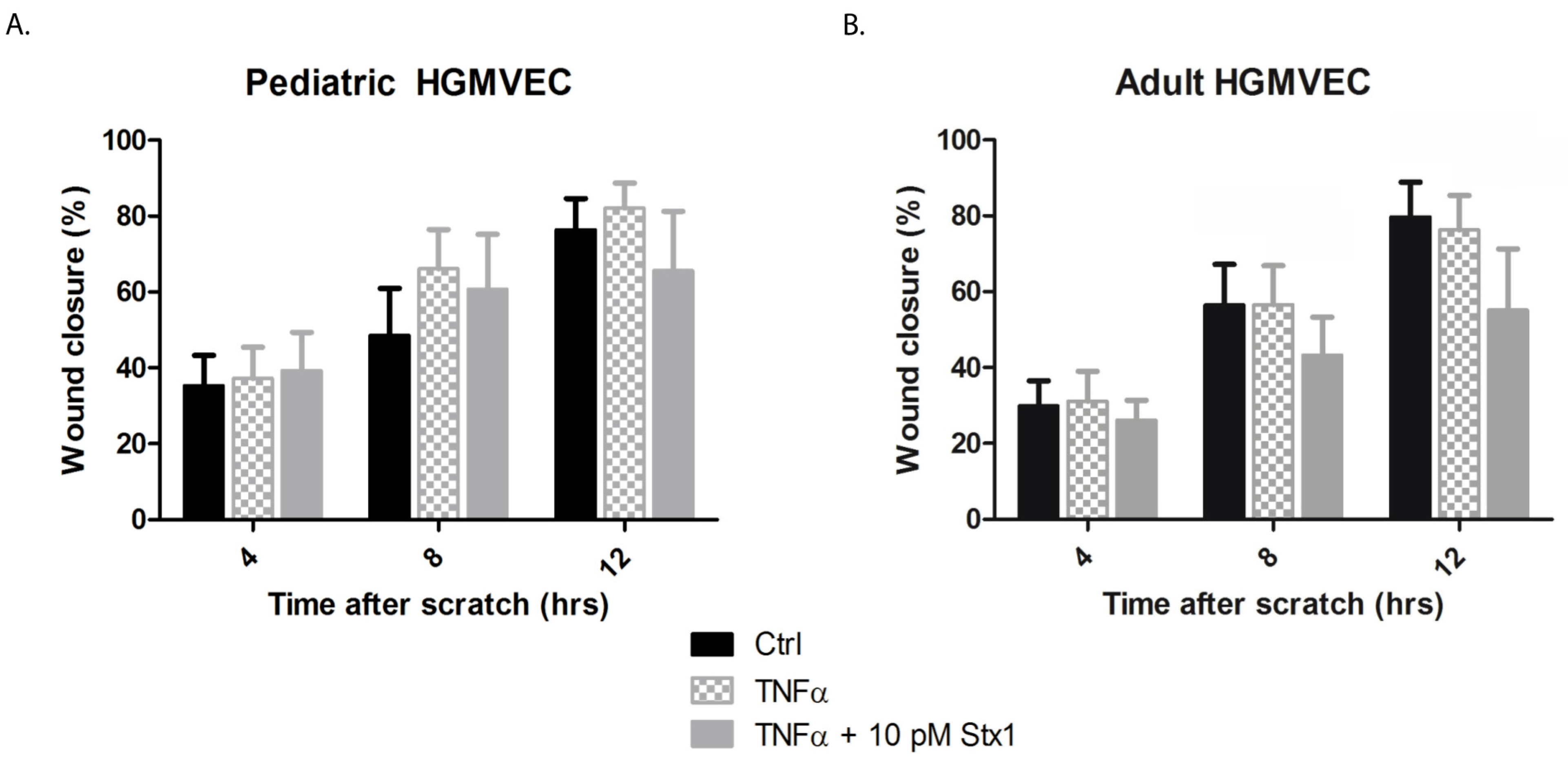 Ijms 22 05615 g004 Ijms 22 05615 g004