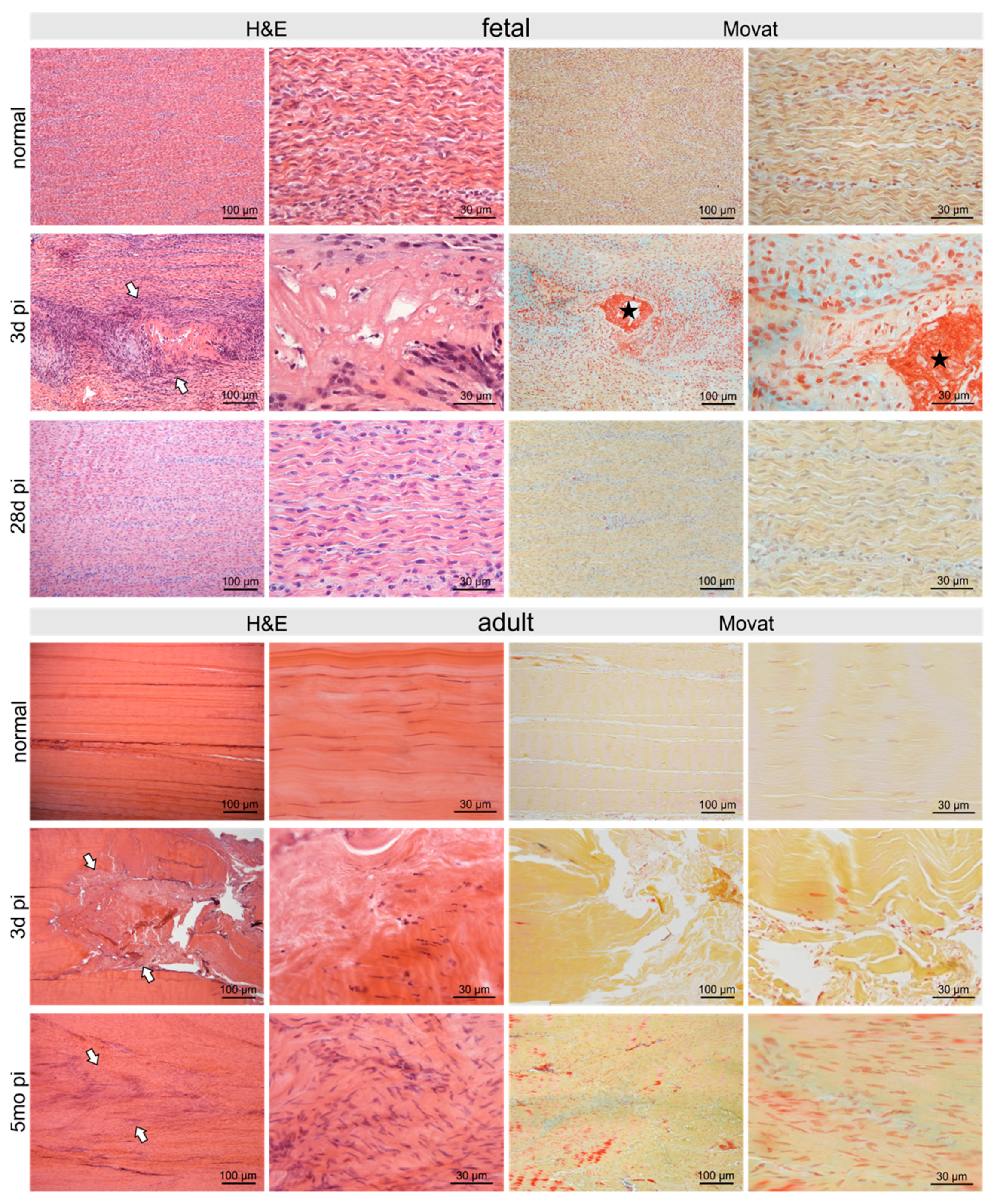 Ijms 22 05619 g002 Ijms 22 05619 g002