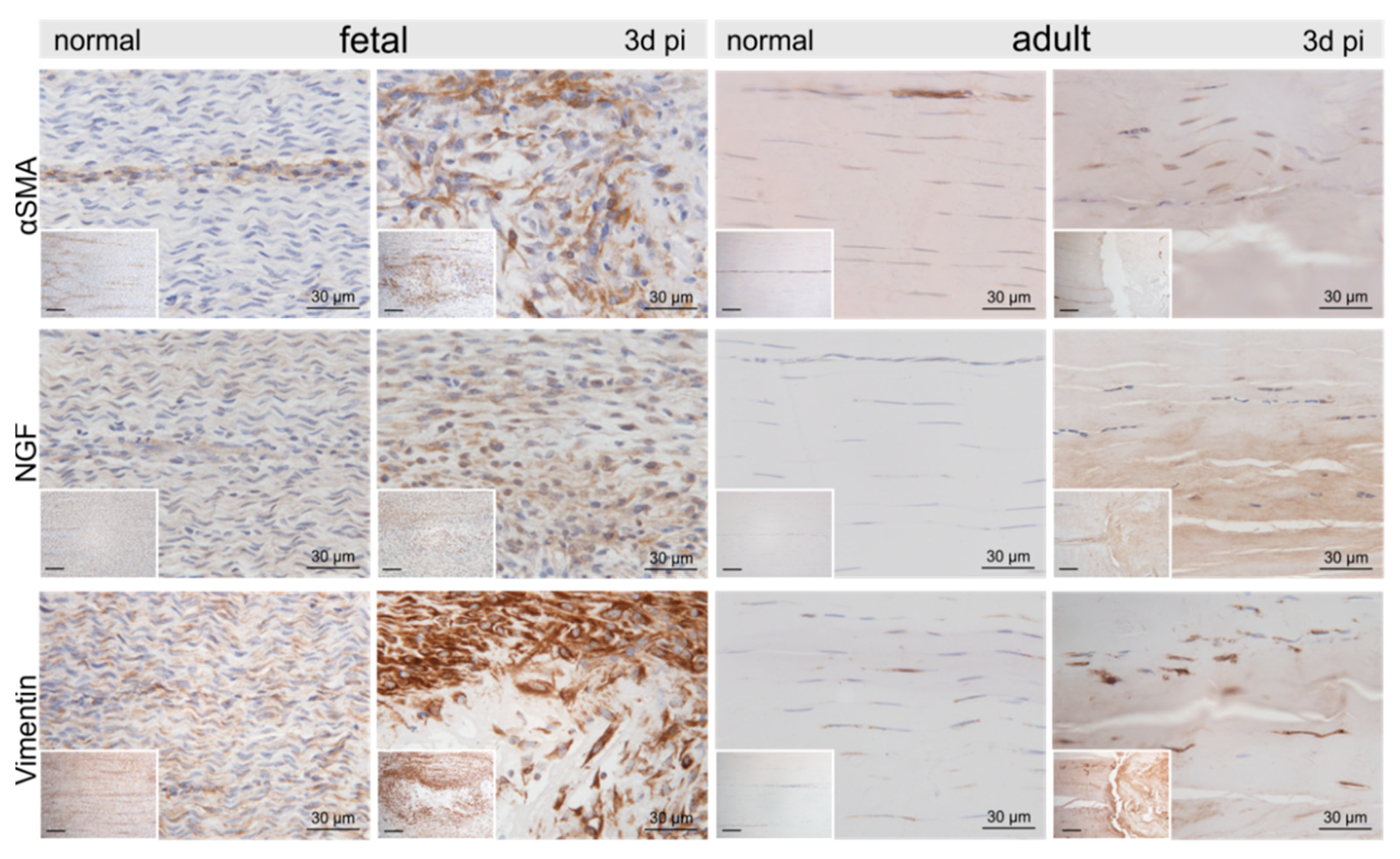 Ijms 22 05619 g004 Ijms 22 05619 g004